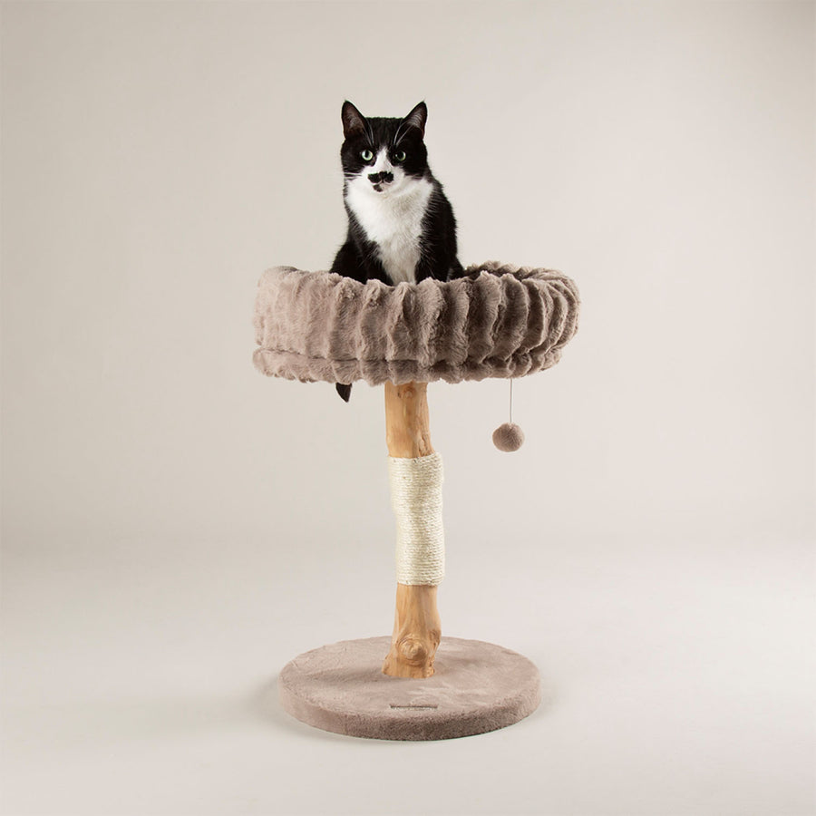 Scruffs Appalachians Taupe Cat Scratching Tree