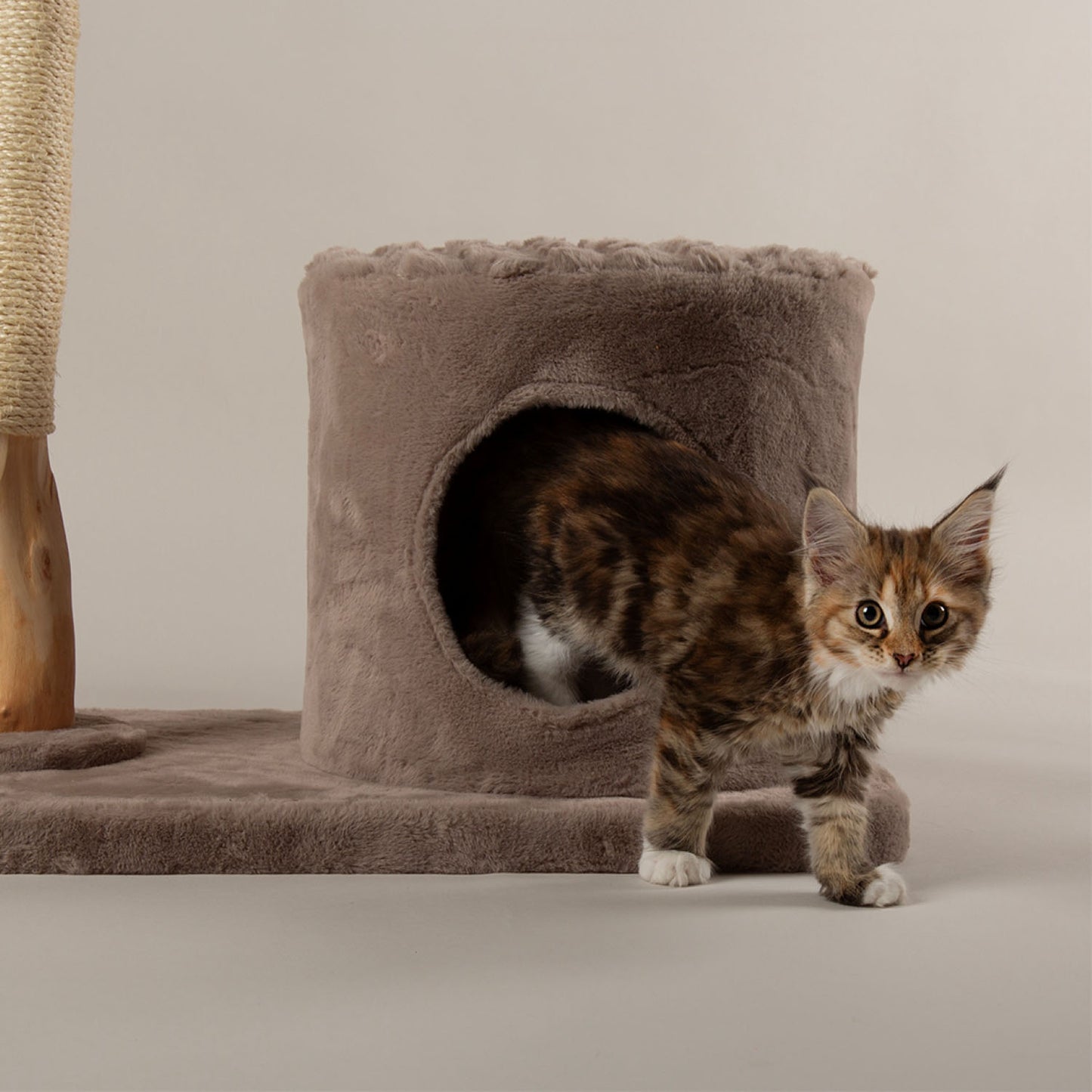 Scruffs Pyrenees Taupe Cat Scratching Tree