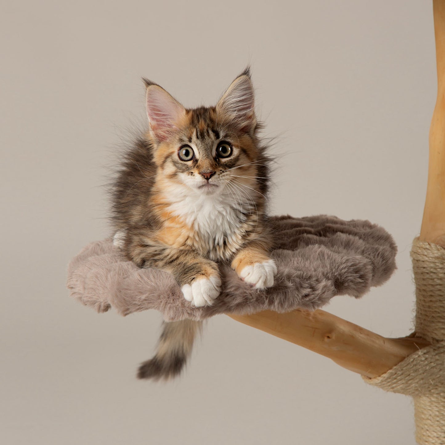 Scruffs Atlas Taupe Cat Scratching Tree