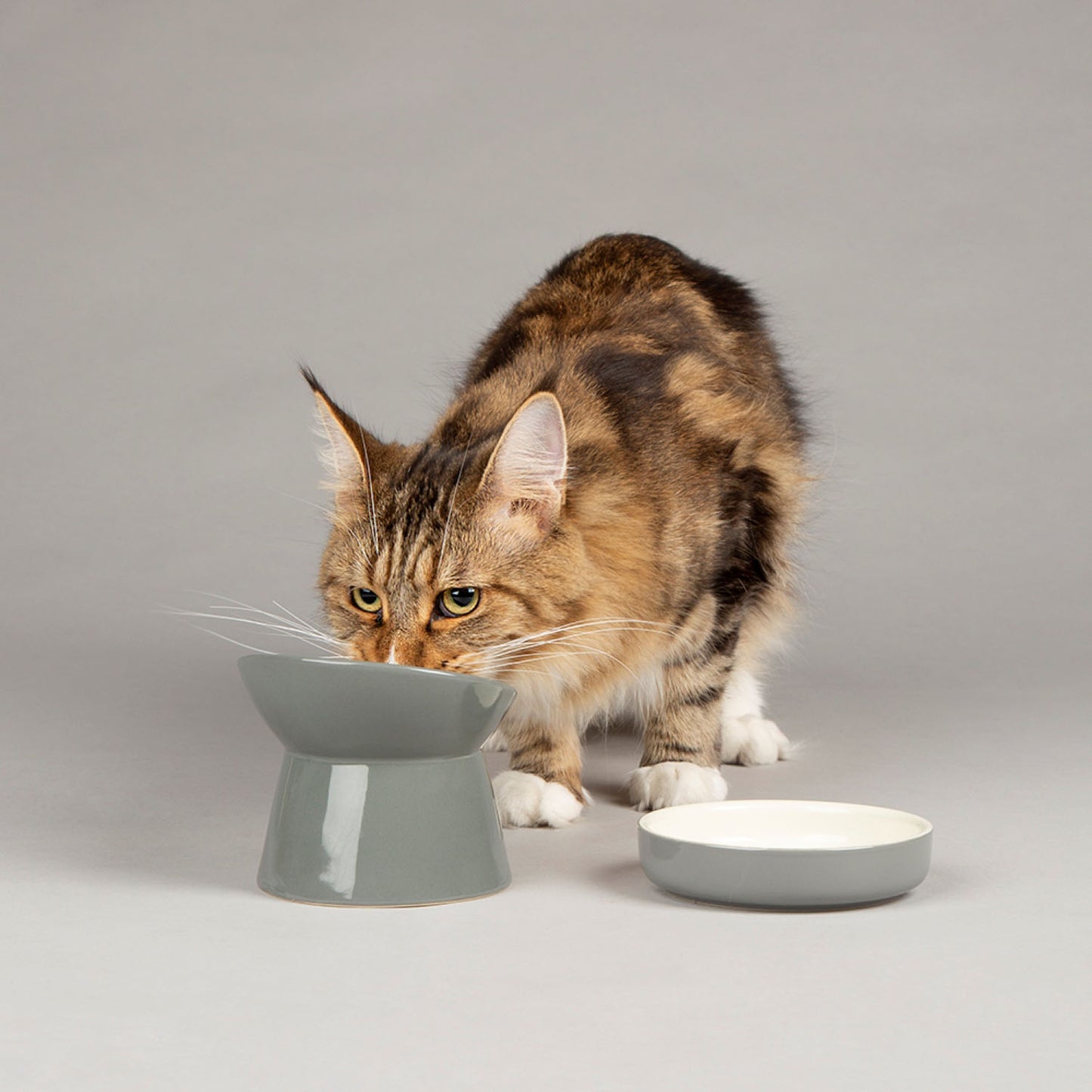 Scruffs Grey Classic Raised Cat Feeder Bowl & Saucer Set