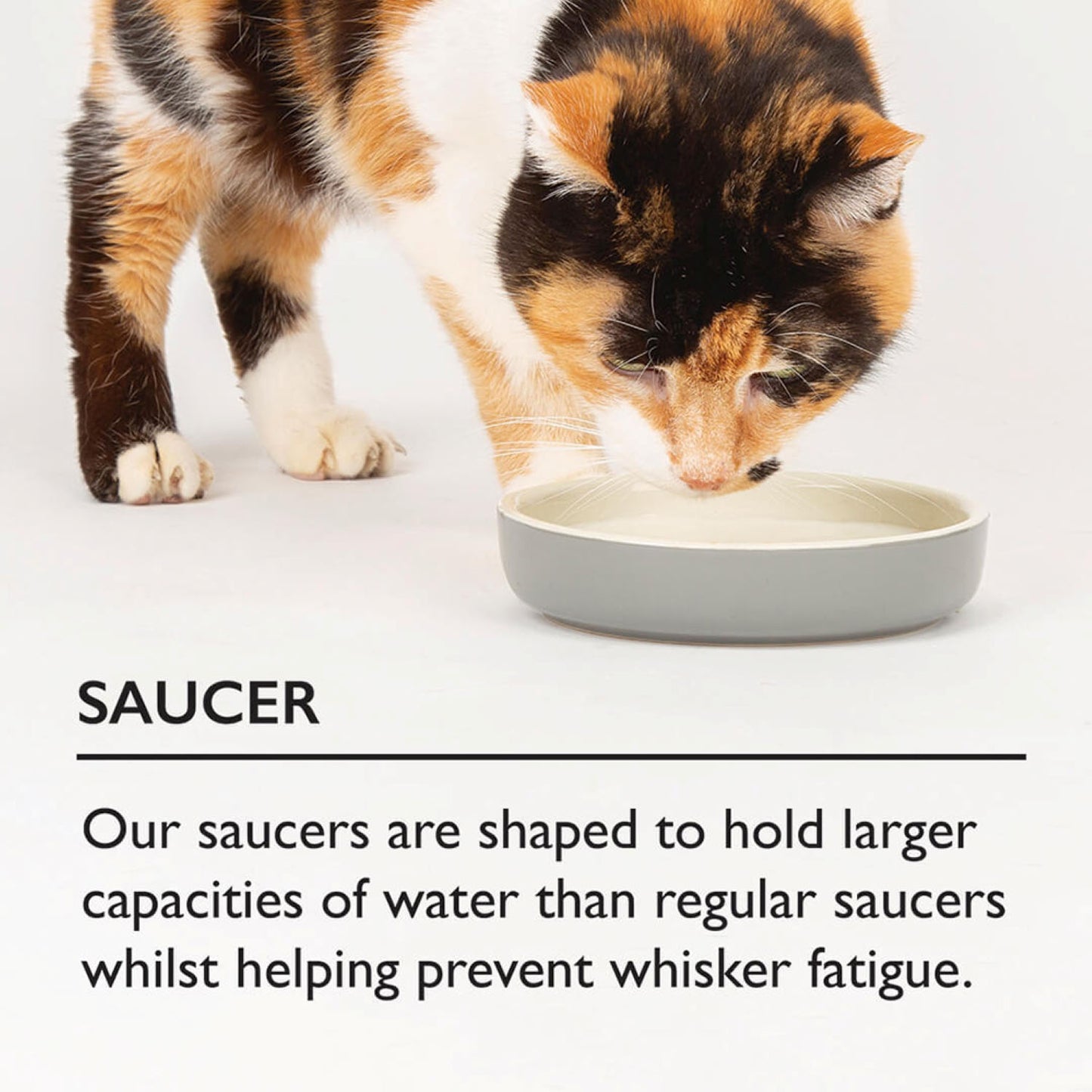 Scruffs Icon Cream Raised Cat Feeder Bowl & Saucer Set