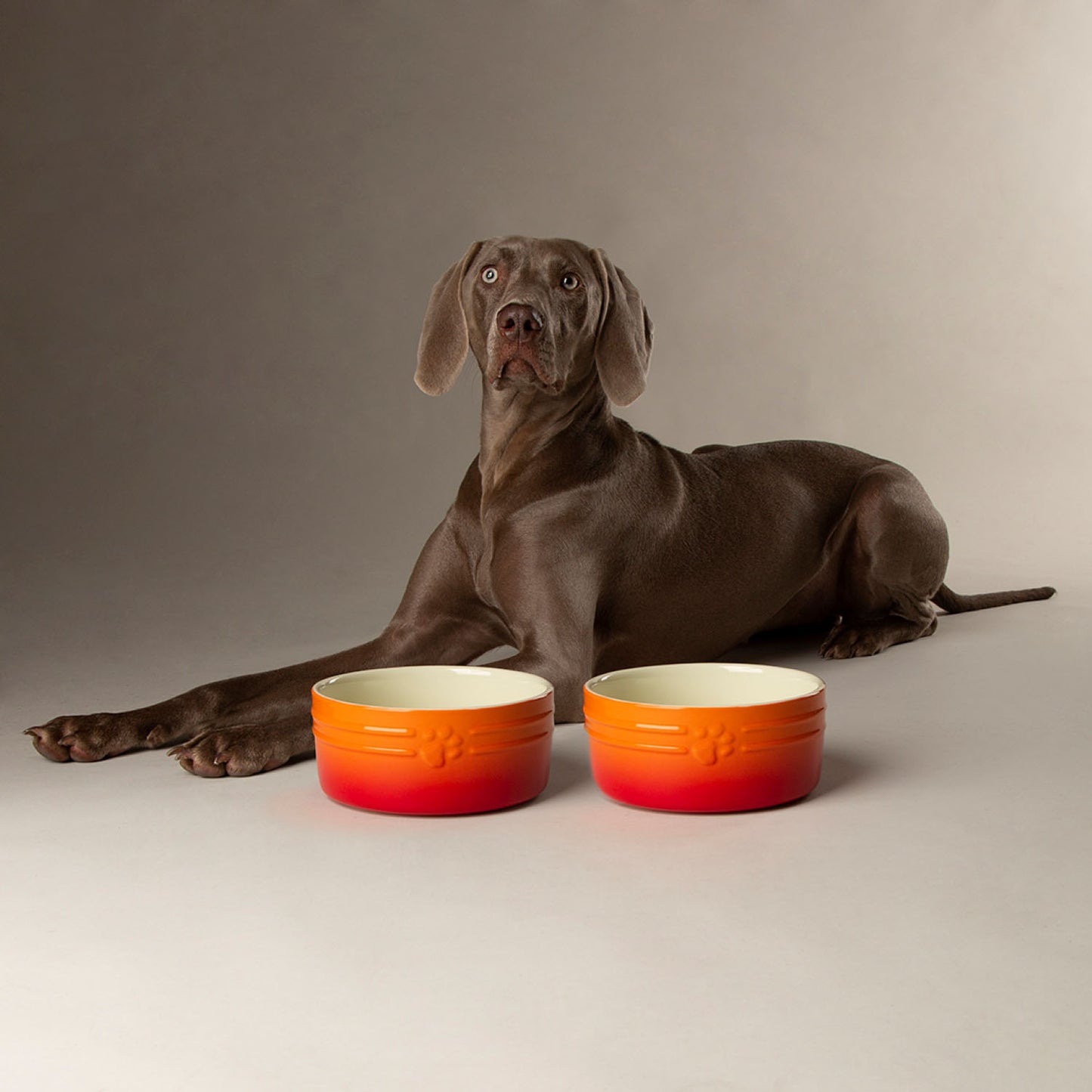 Scruffs Ombre Orange 2 Piece Dog Bowl Set
