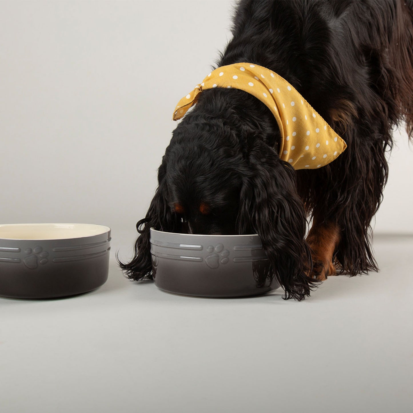 Scruffs Ombre Grey 2 Piece Dog Bowl Set