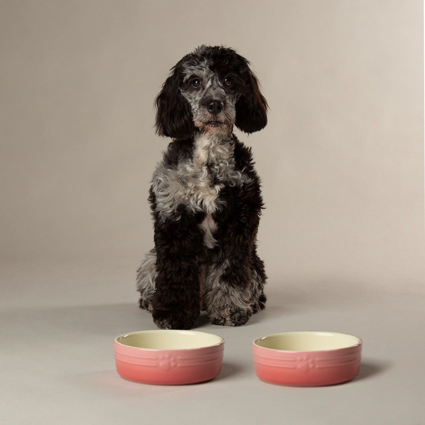 Scruffs Ombre Pink 2 Piece Dog Bowl Set