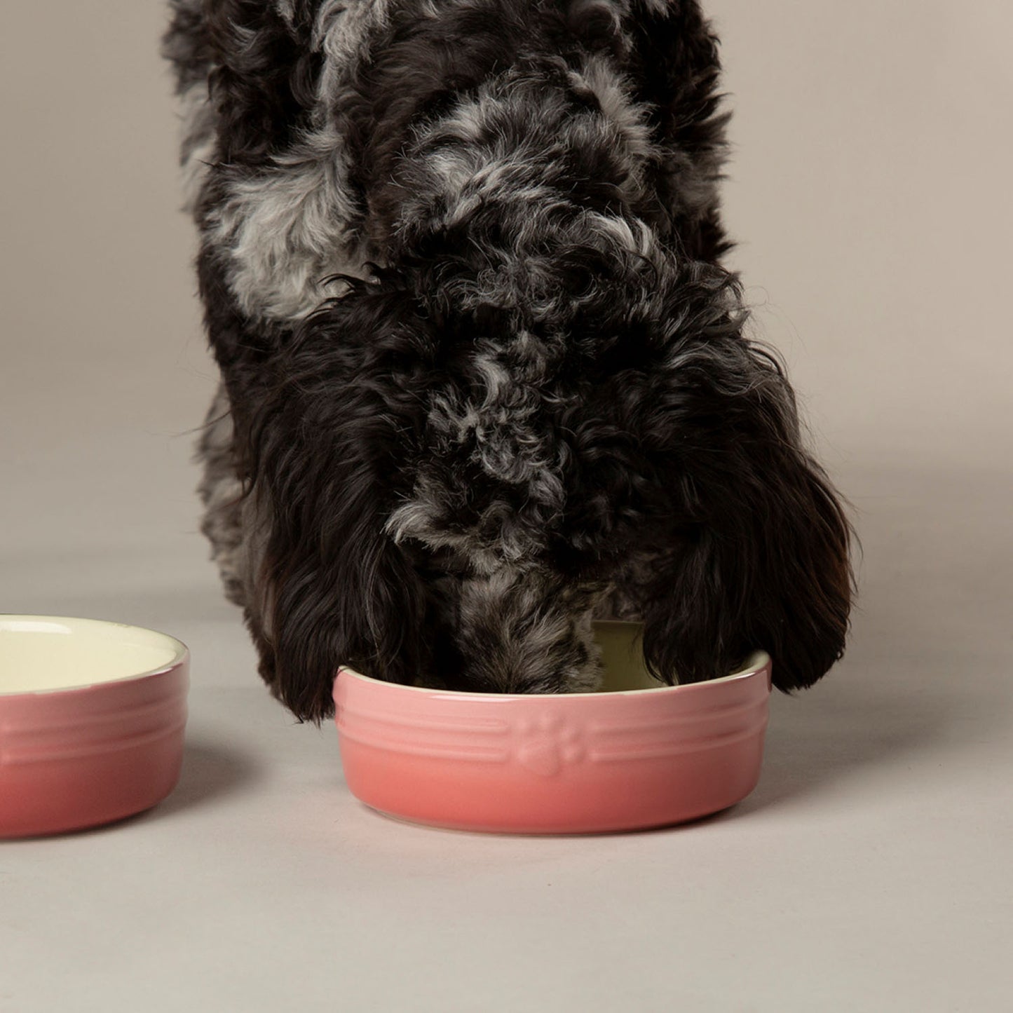 Scruffs Ombre Pink 2 Piece Dog Bowl Set