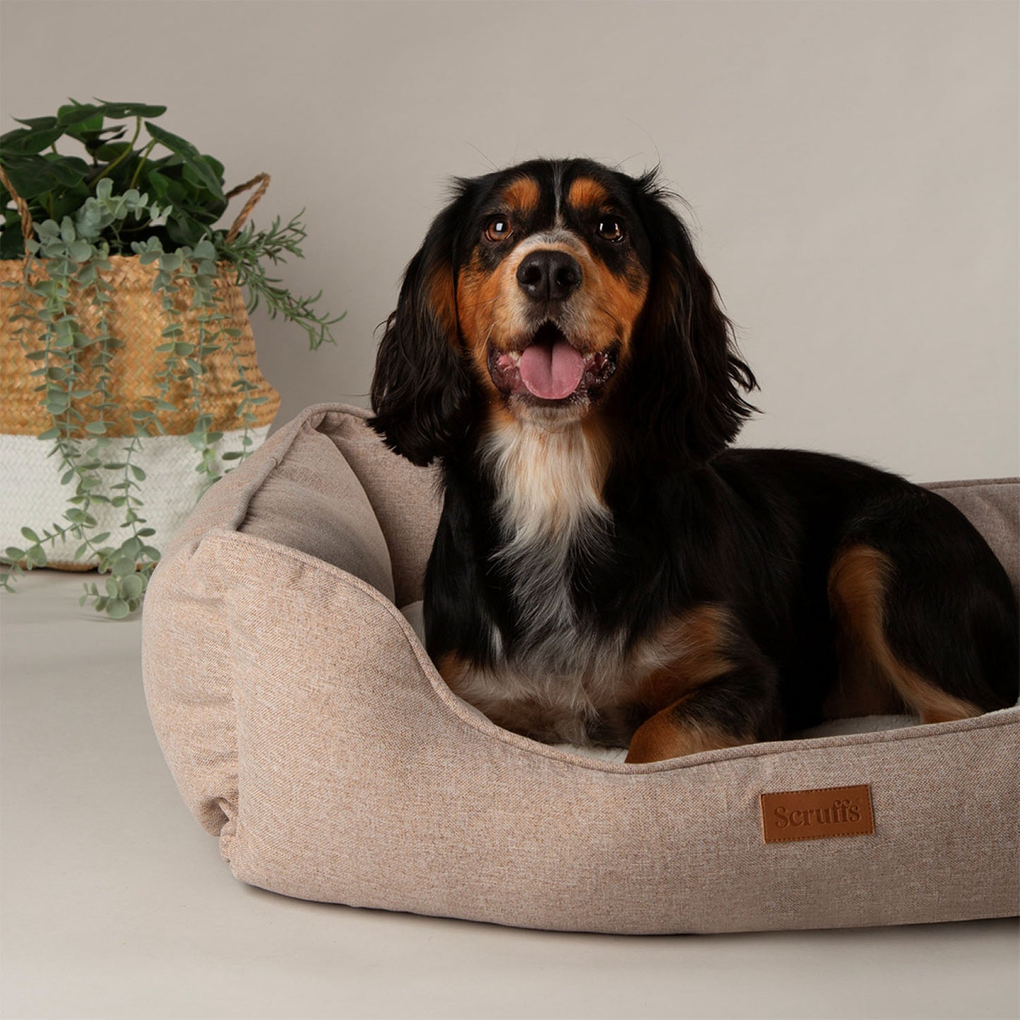 Scruffs Harmony Tan Dog Box Bed