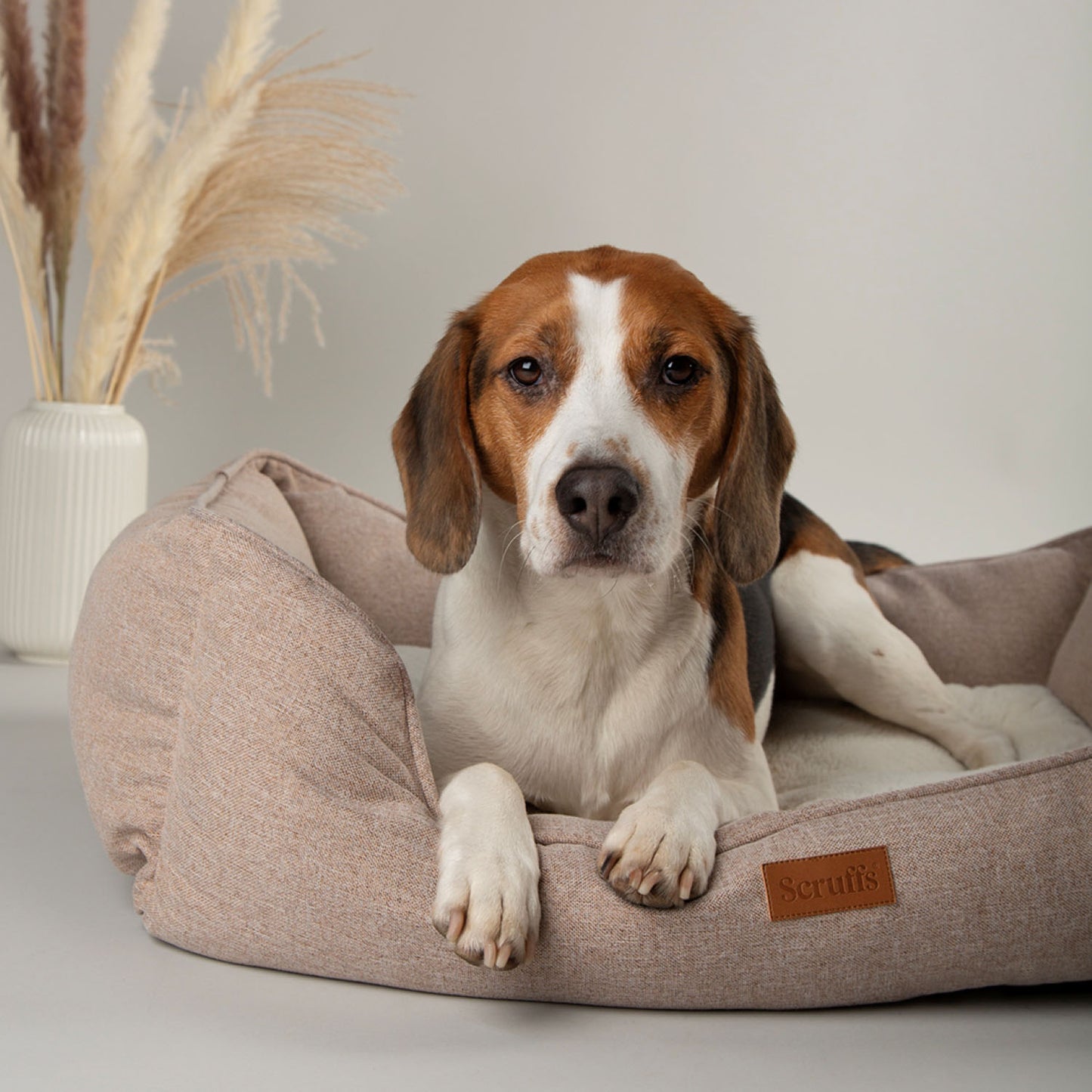 Scruffs Harmony Tan Dog Box Bed