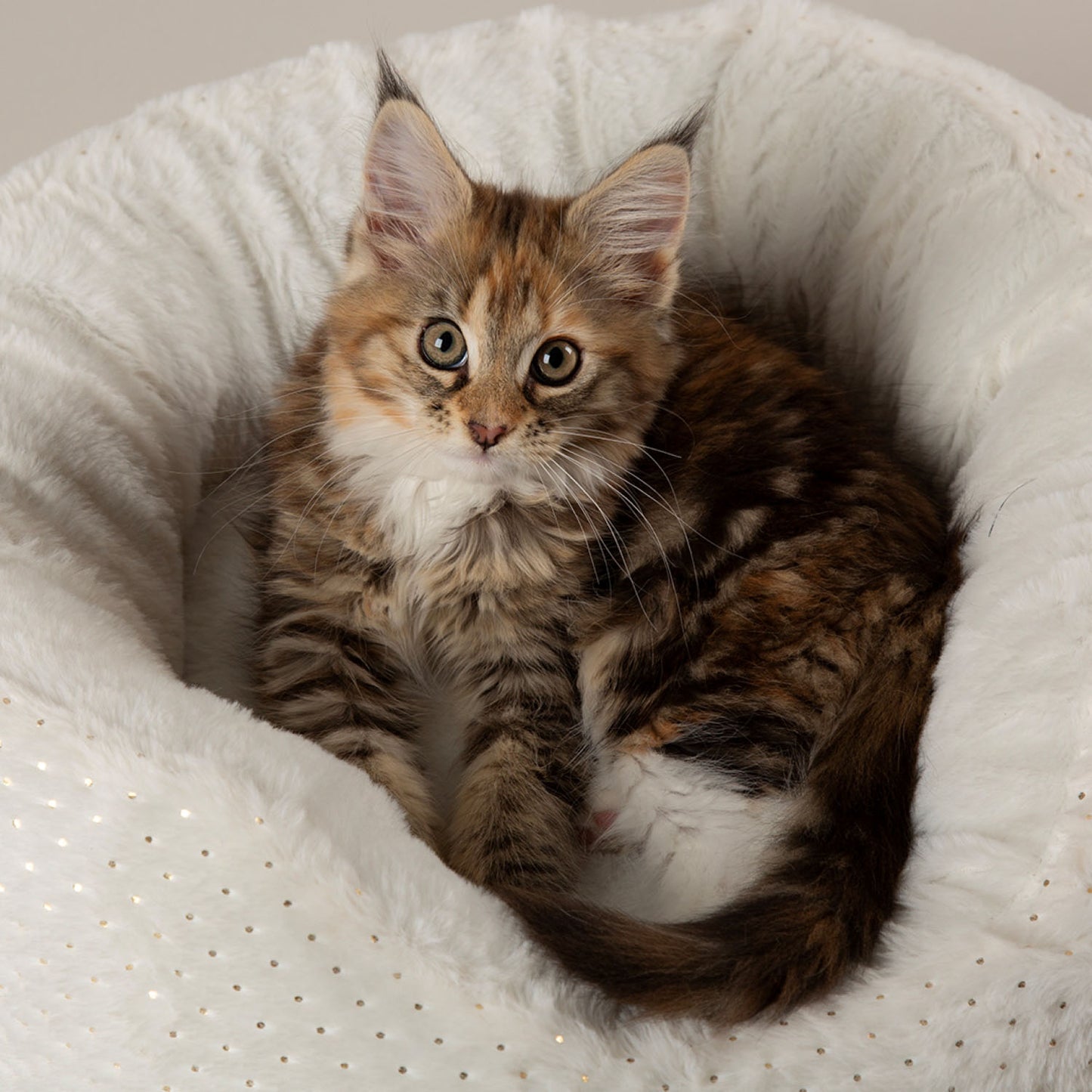 Scruffs Starlight Cream My First Round Bed For Puppies and Kittens