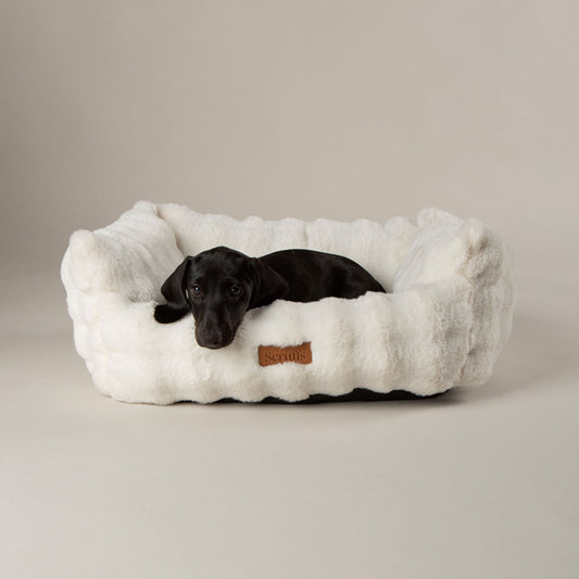 Scruffs Cloud Cream "My First" Box Bed for Puppies and Kittens
