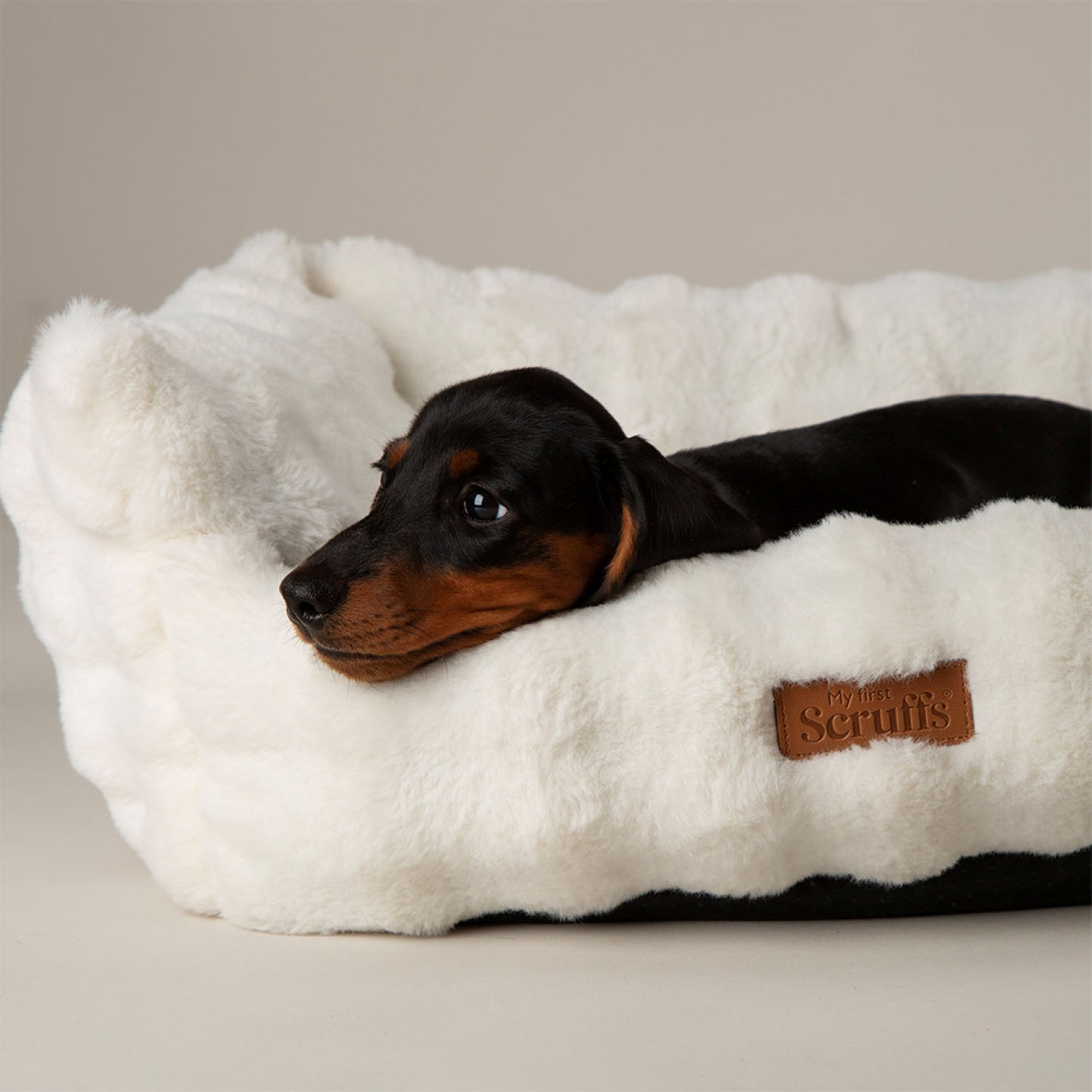 Scruffs Cloud Cream "My First" Box Bed for Puppies and Kittens