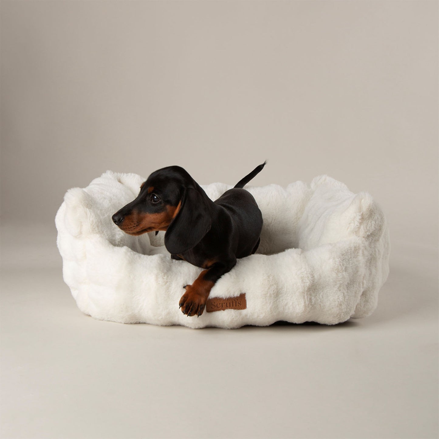 Scruffs Cloud Cream "My First" Box Bed for Puppies and Kittens