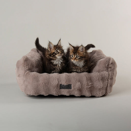 Scruffs Cloud Grey "My First" Box Bed for Puppies and Kittens