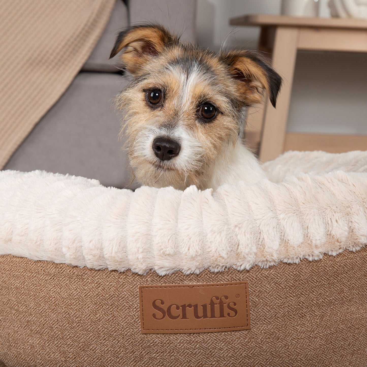 Scruffs Ellen Tan Pet Donut Bed
