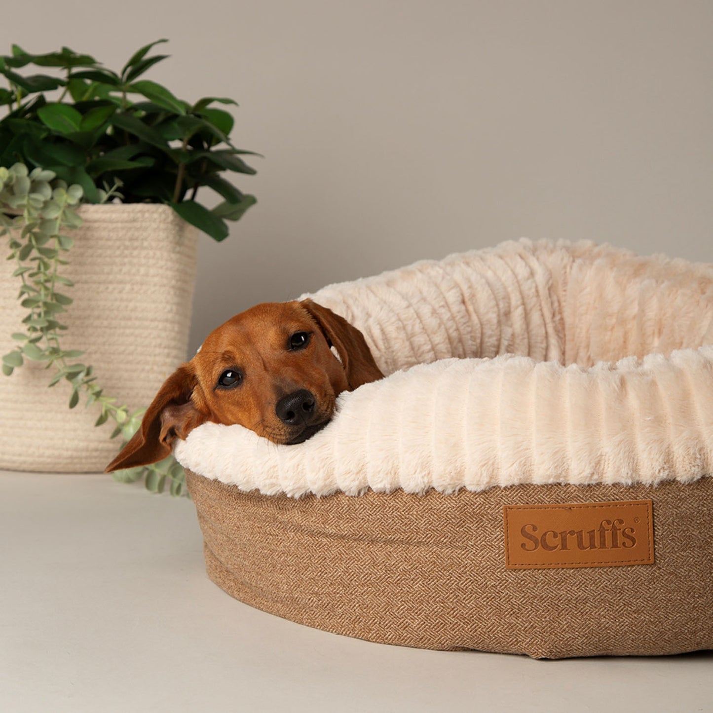 Scruffs Ellen Tan Pet Donut Bed