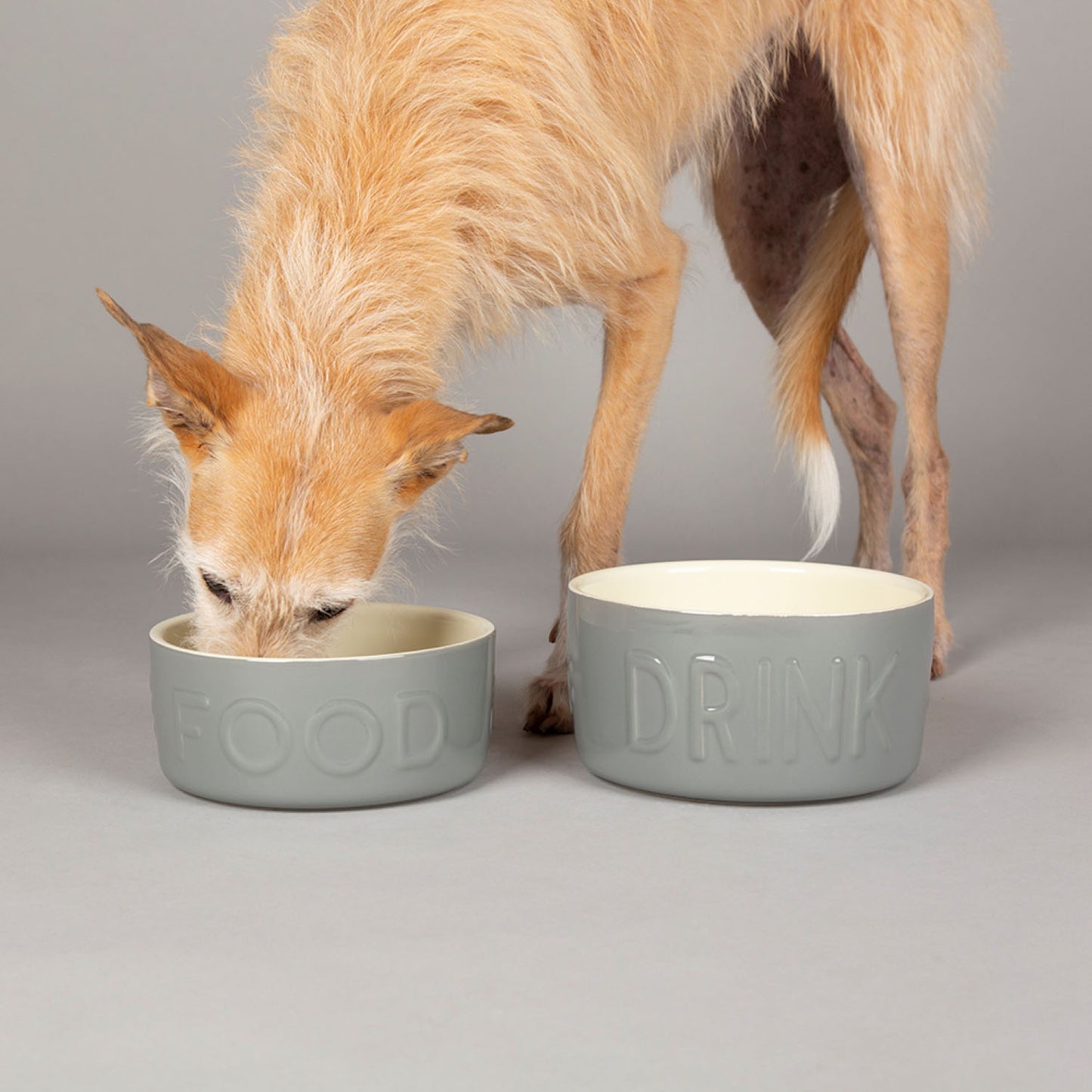 Scruffs Grey Classic Large Food & Drink Dog Bowl Set