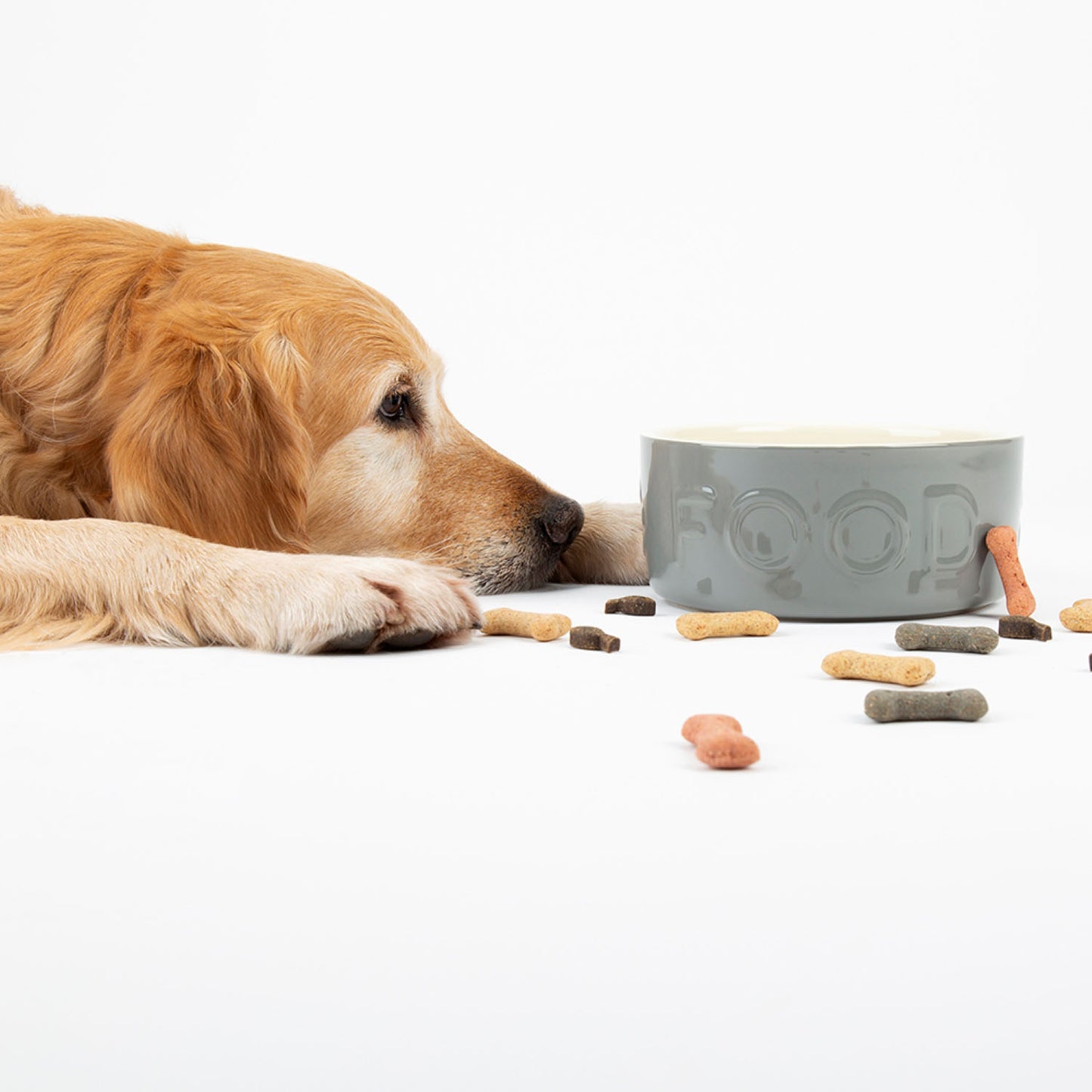 Scruffs Grey Classic Large Food & Drink Dog Bowl Set