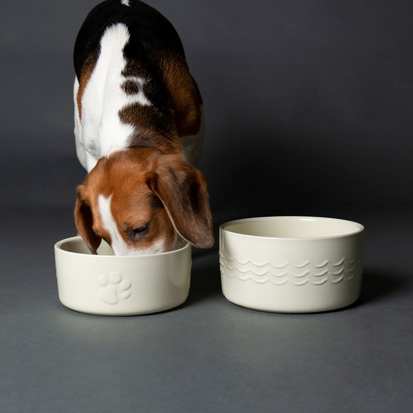 Scruffs Icon Cream Food & Drink Dog Bowl Set