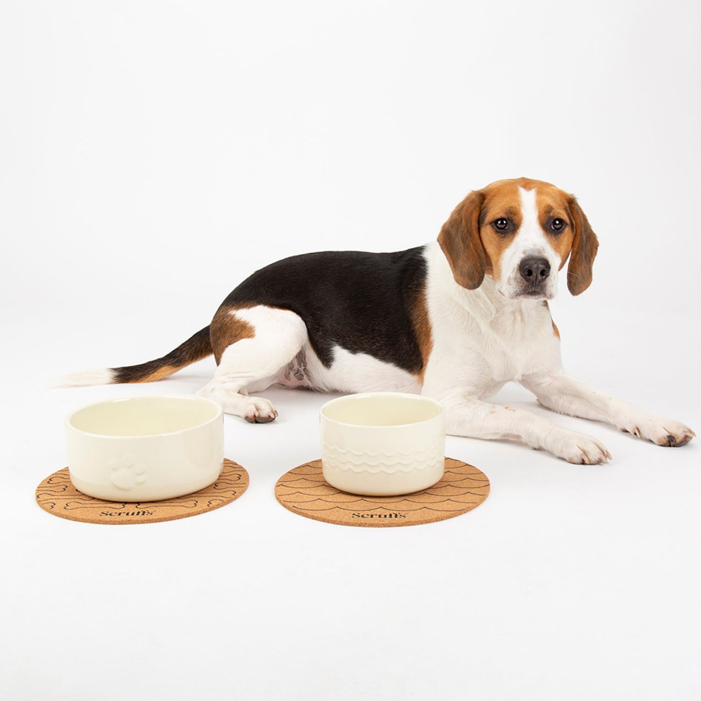 Scruffs Icon Cream Food & Drink Dog Bowl Set