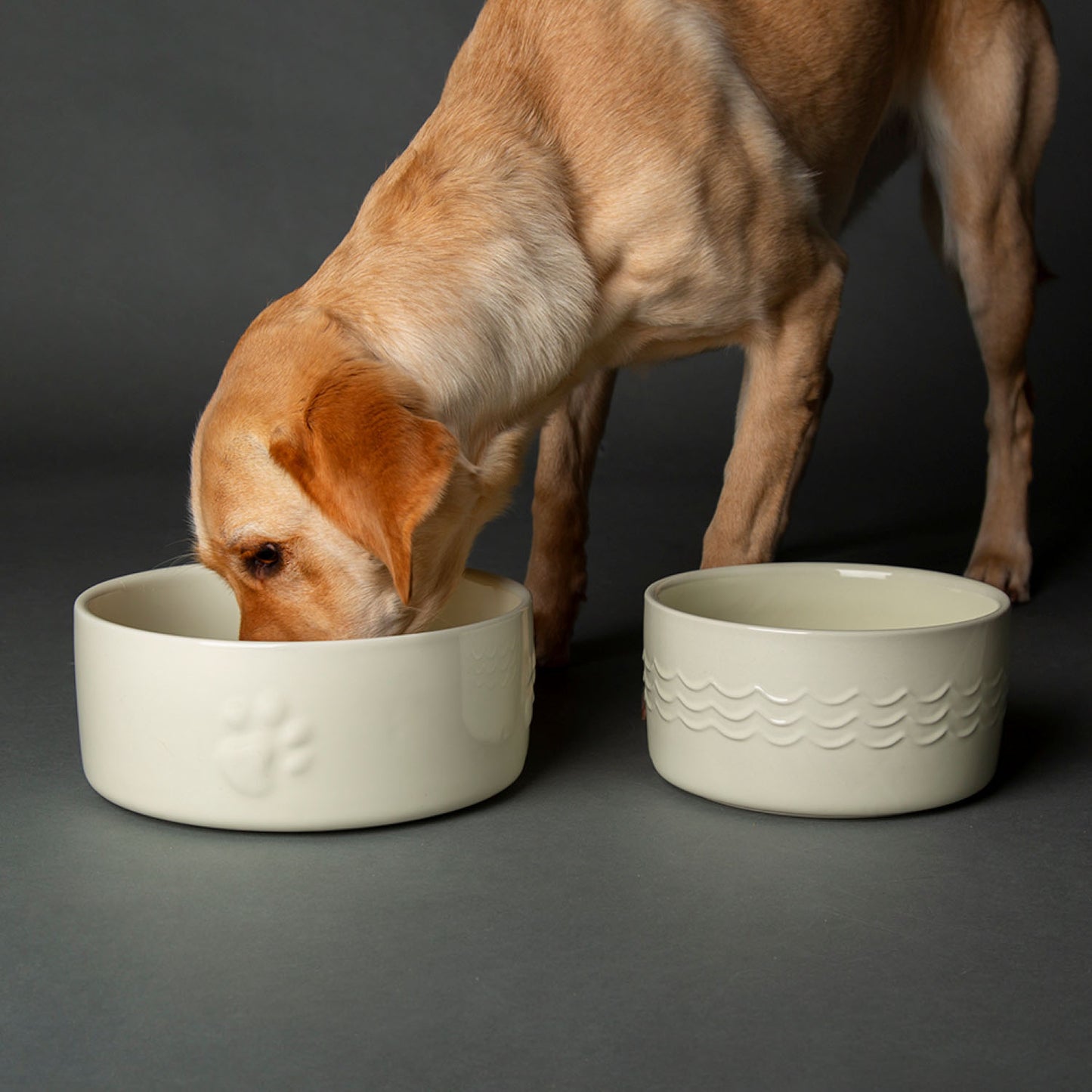 Scruffs Icon Cream Food & Drink Dog Bowl Set