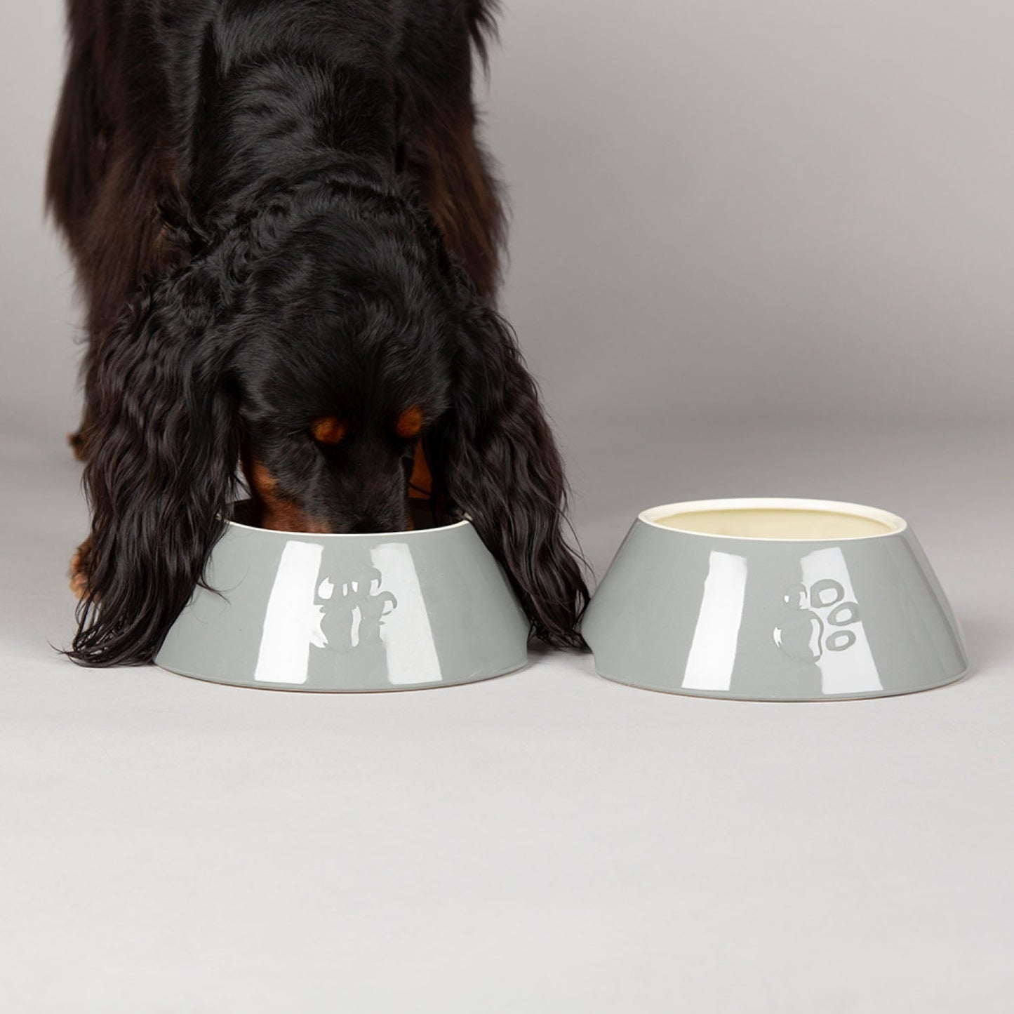 Scruffs Classic Grey 2 Piece Long Eared Dog Bowl Set
