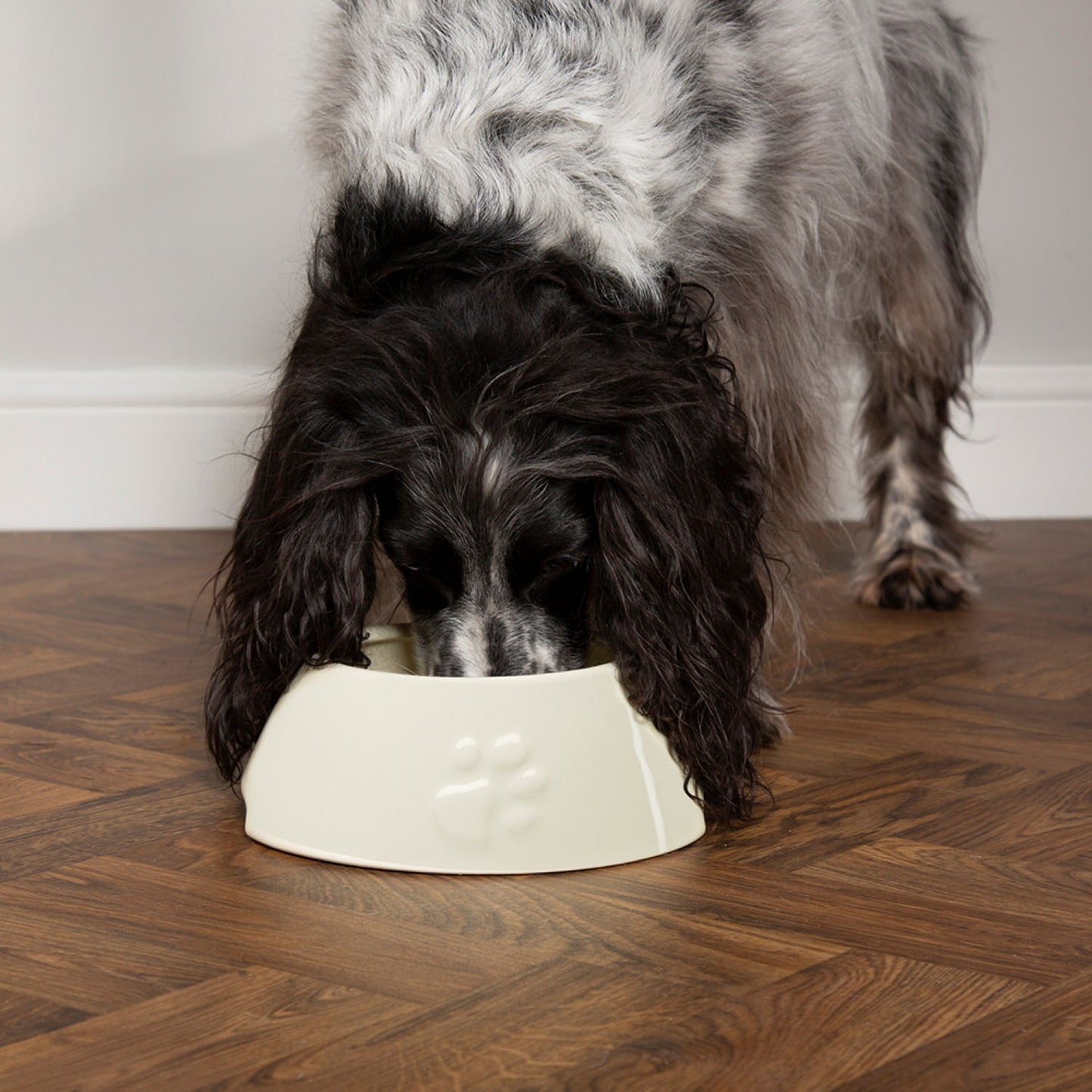 Scruffs Icon Cream 2 Piece Long Eared Dog Bowl Set