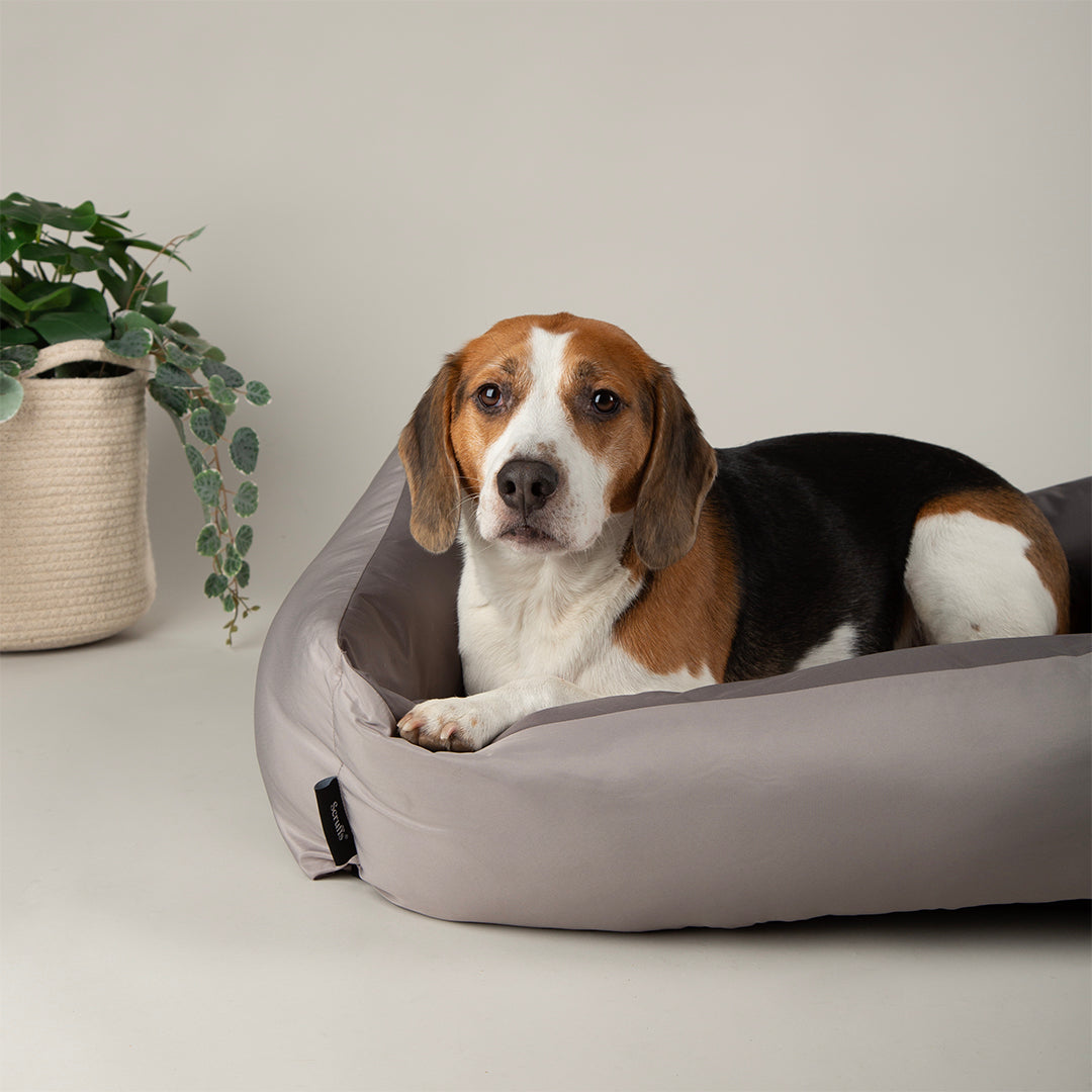 Scruffs Expedition  Storm Grey Dog Box Bed