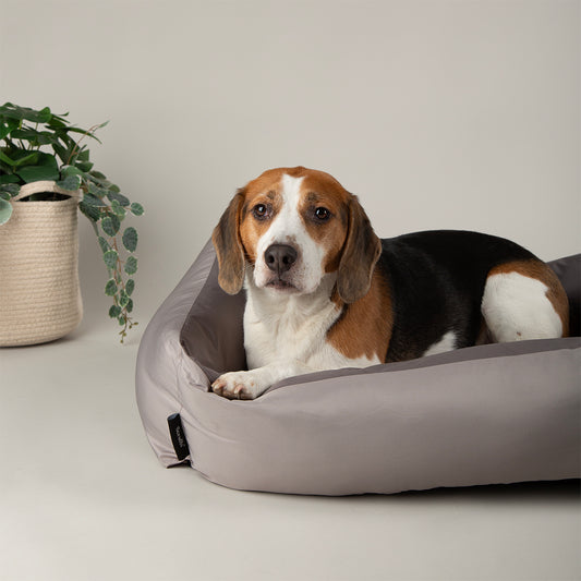 Scruffs Expedition  Storm Grey Dog Box Bed