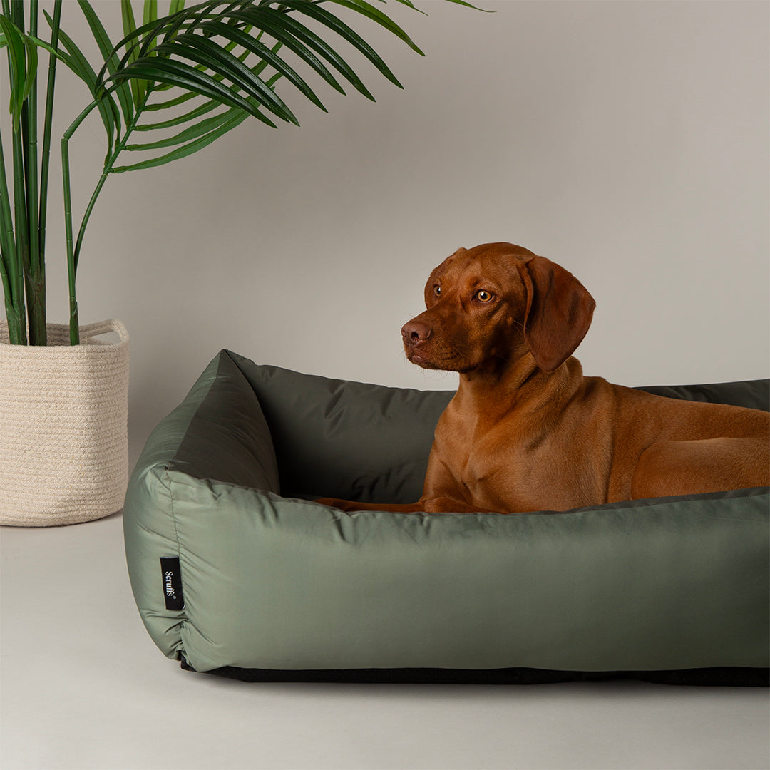 Scruffs Expedition Khaki Green Dog Box Bed