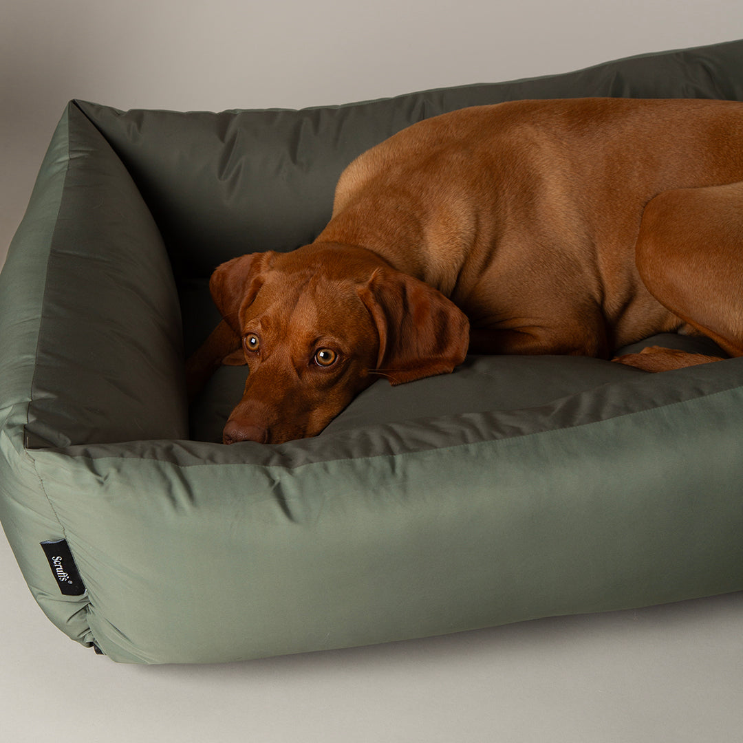 Scruffs Expedition Khaki Green Dog Box Bed
