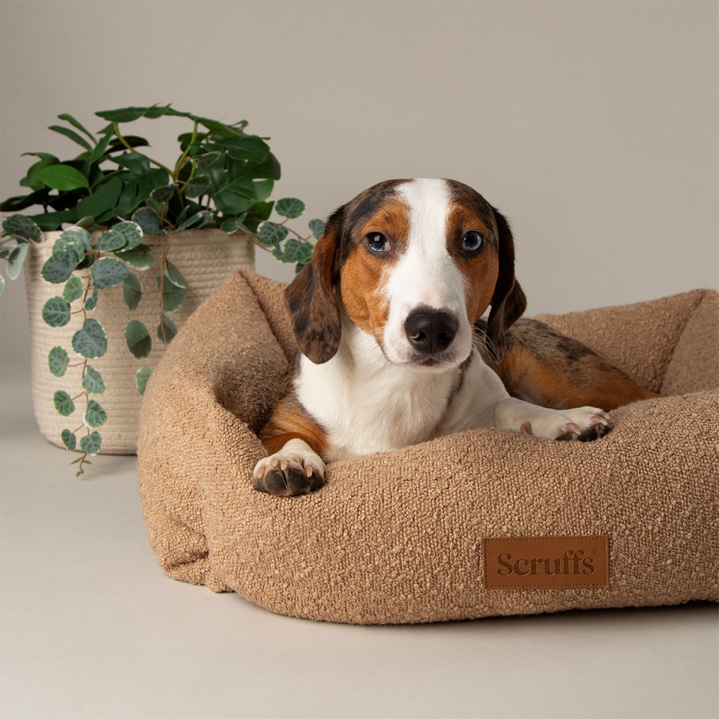 Scruffs Boucle Desert Tan Dog Bed