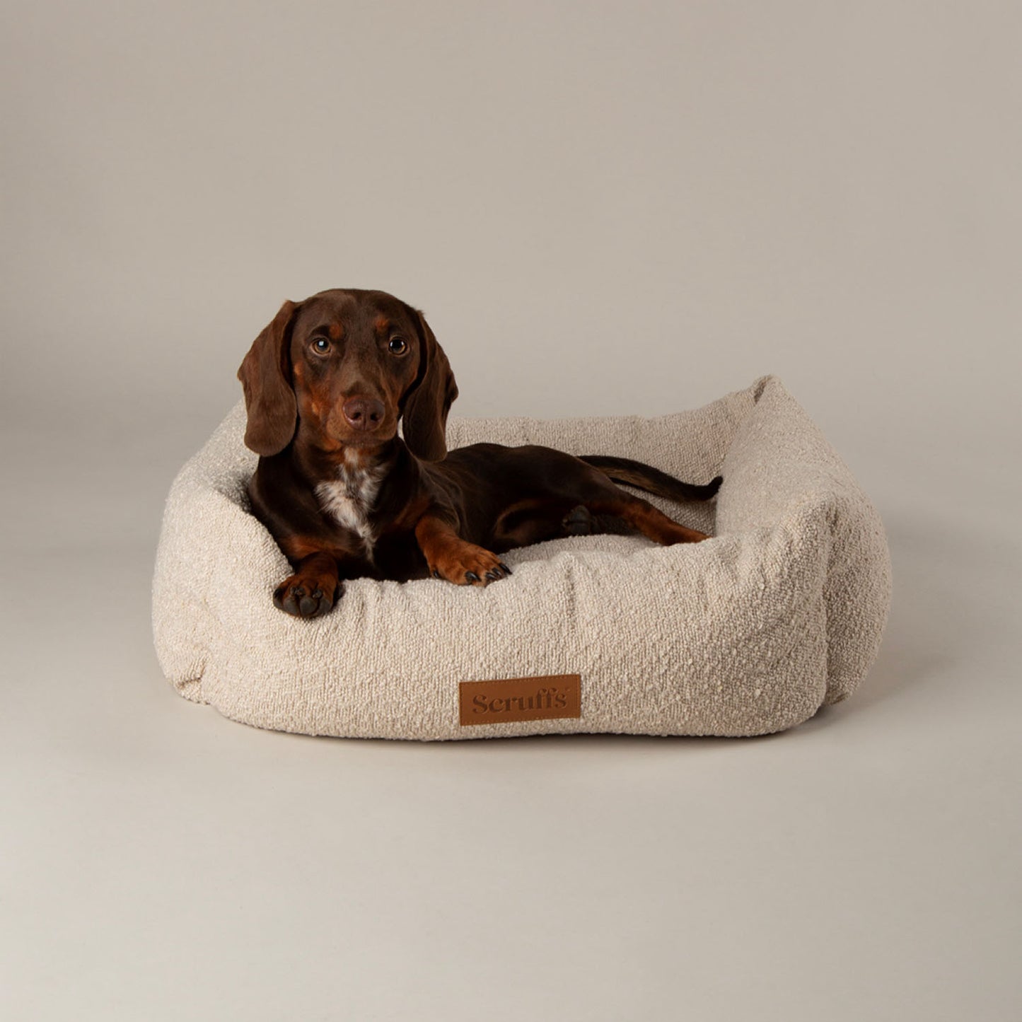 Scruffs Boucle Ivory Dog Bed