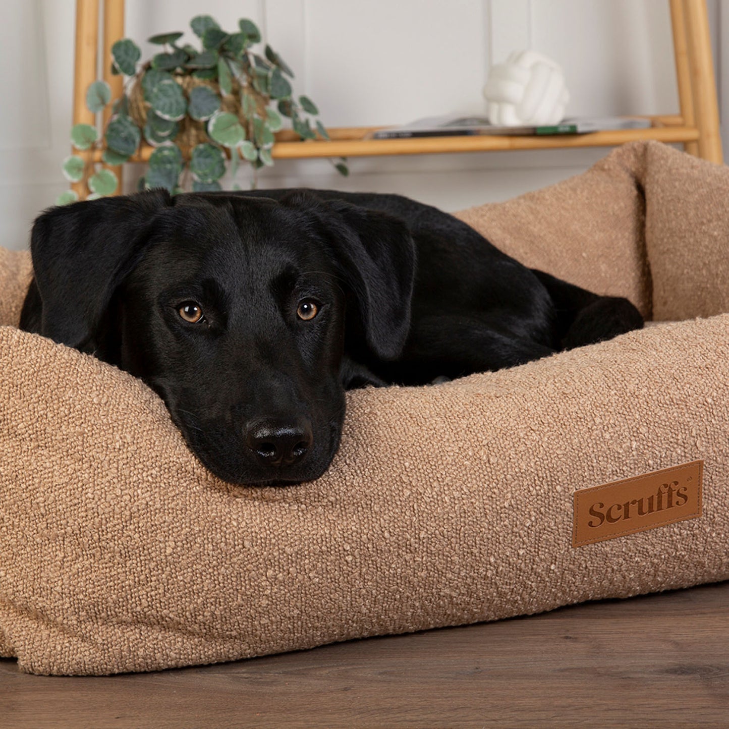 Scruffs Boucle Desert Tan Dog Bed