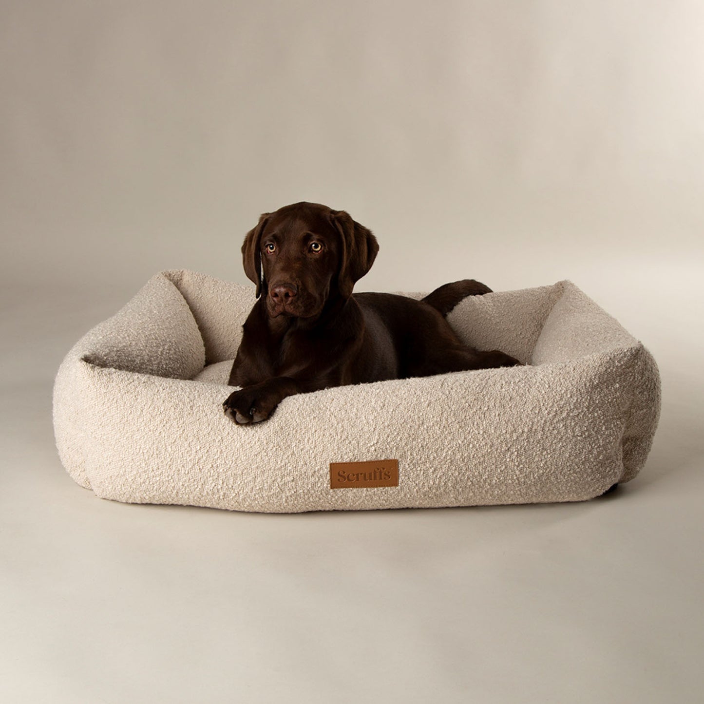 Scruffs Boucle Ivory Dog Bed