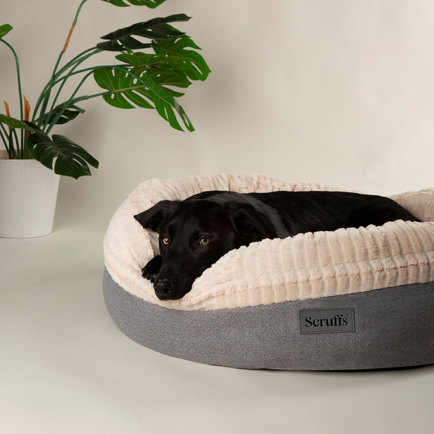 Scruffs Ellen Light Grey Pet Donut Bed