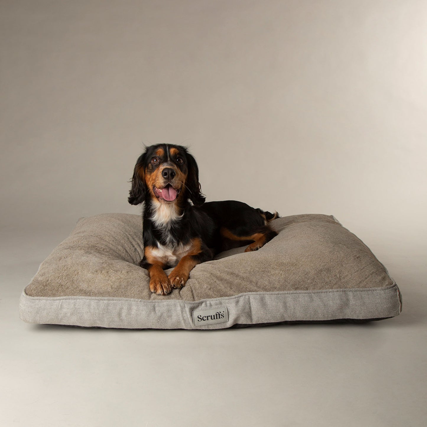 Scruffs Harvard Pearl Grey Memory Foam Orthopeadic Dog Mattress