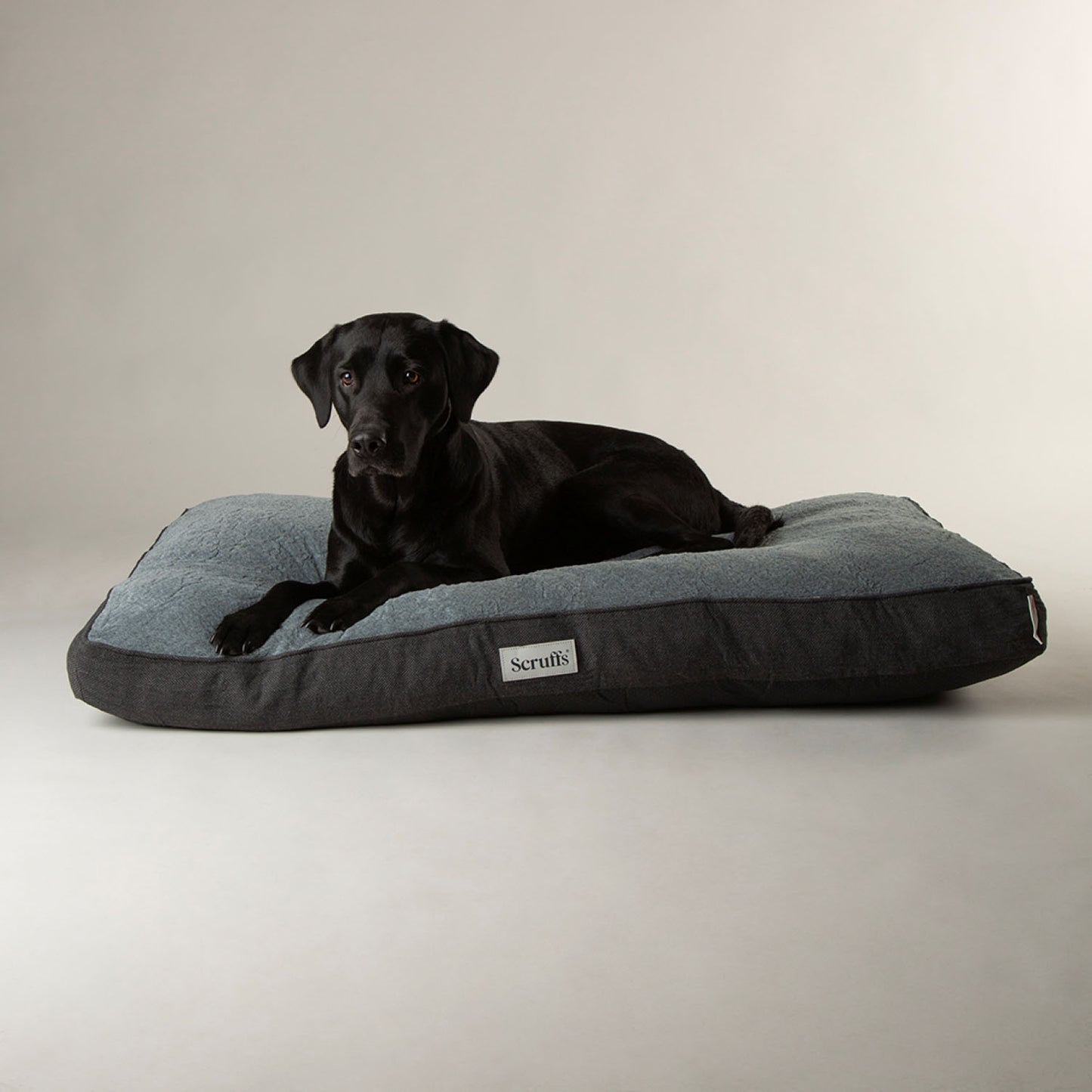 Scruffs Harvard Graphite Grey Memory Foam Orthopeadic Dog Mattress