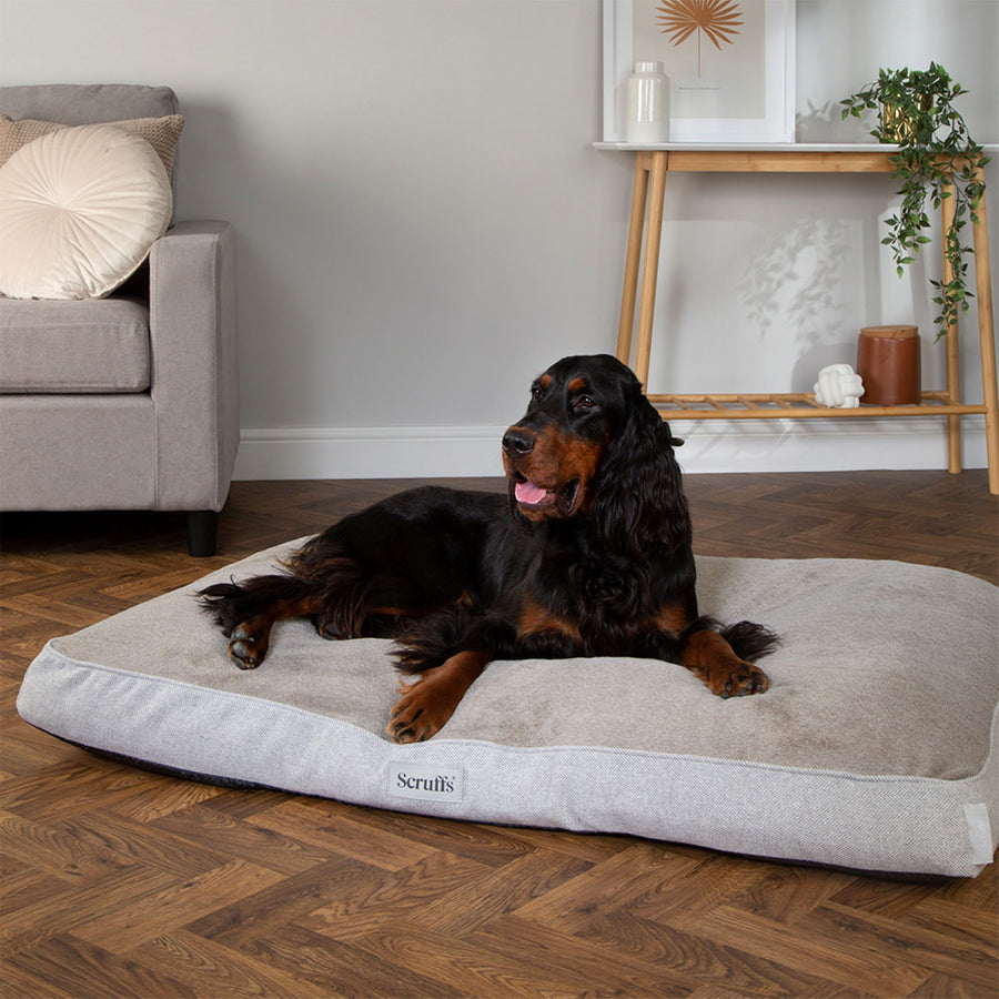 Scruffs Harvard Pearl Grey Memory Foam Orthopeadic Dog Mattress