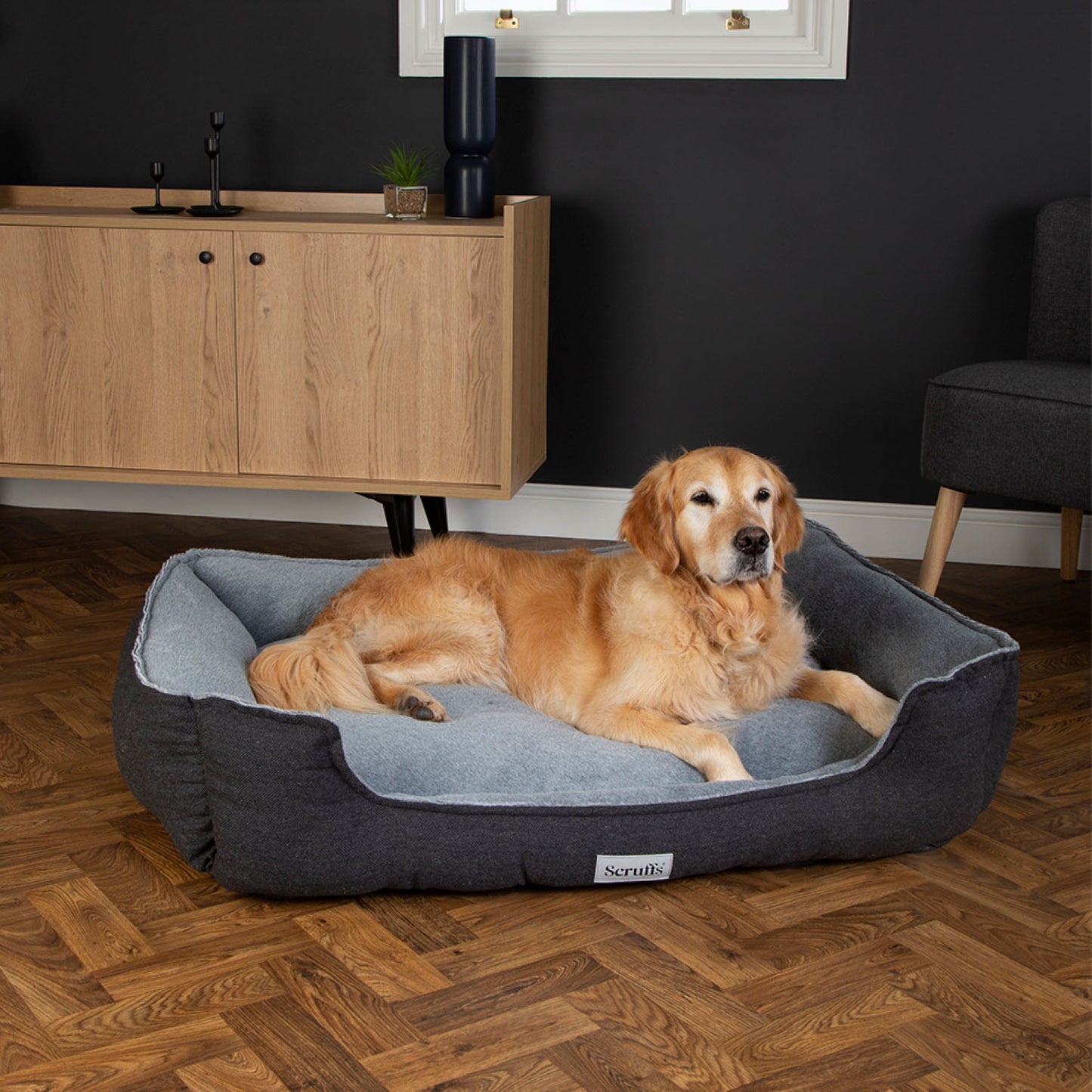 Scruffs Harvard Graphite Memory Foam Water Resistant Box Dog Bed