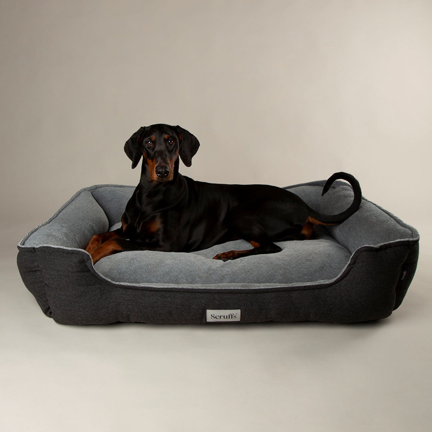 Scruffs Harvard Graphite Memory Foam Water Resistant Box Dog Bed