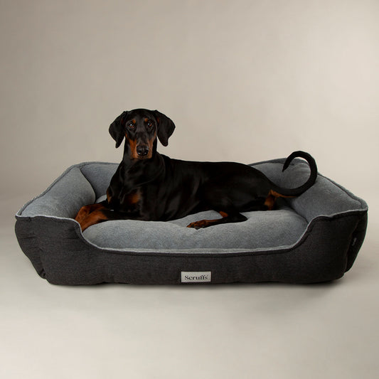 Scruffs Harvard Graphite Memory Foam Water Resistant Box Dog Bed