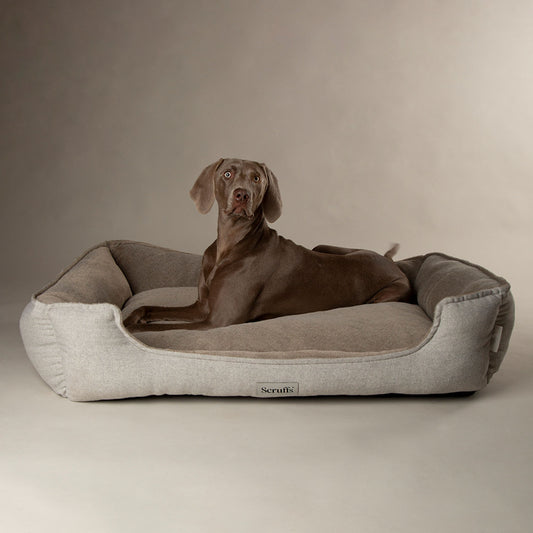 Scruffs Harvard Pearl Grey Memory Foam Water Resistant Box Dog Bed