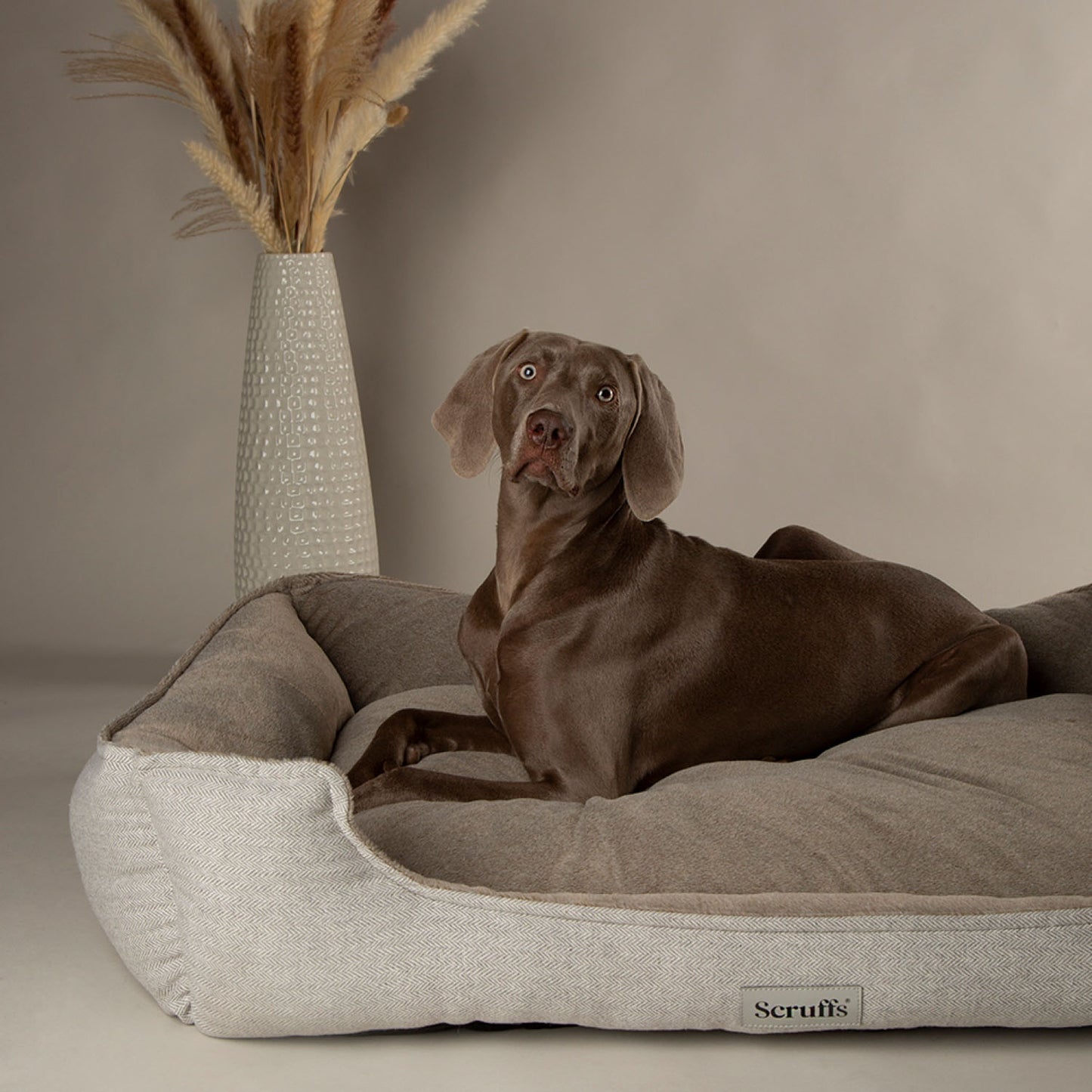 Scruffs Harvard Pearl Grey Memory Foam Water Resistant Box Dog Bed