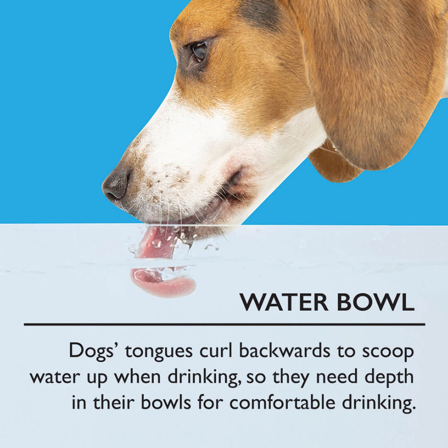 Scruffs Icon Cream Slow Feeder & Drink Bowl Set For Dogs
