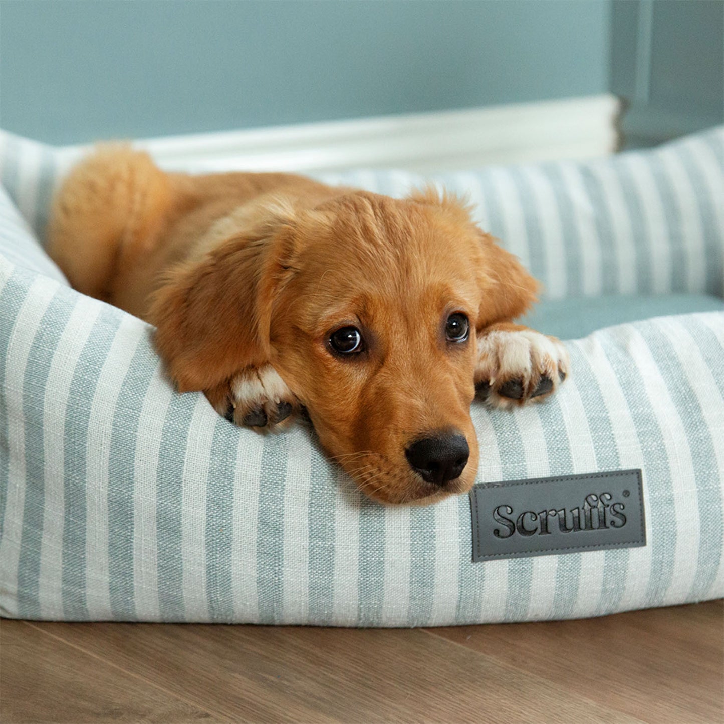 Scruffs Coastal Green Stripe Pet Dog Bed