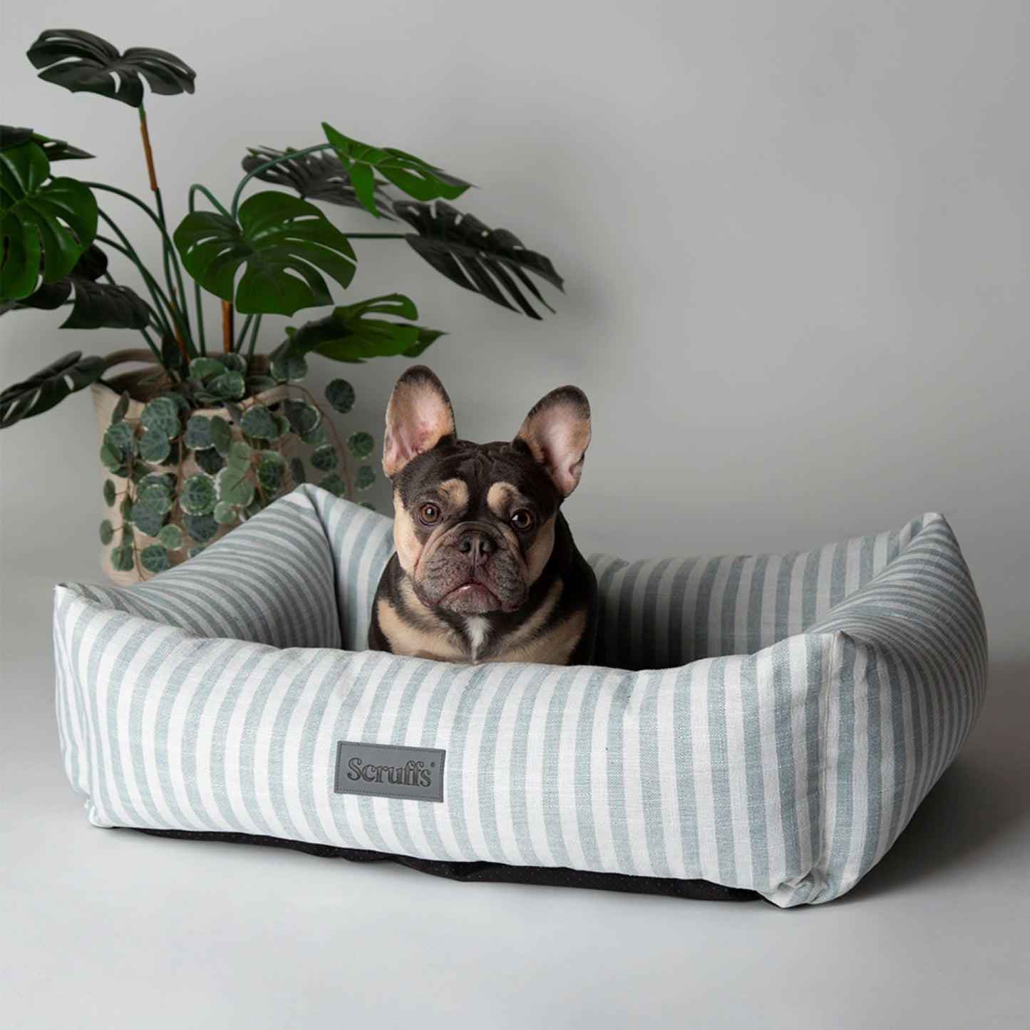 Scruffs Coastal Green Stripe Pet Dog Bed
