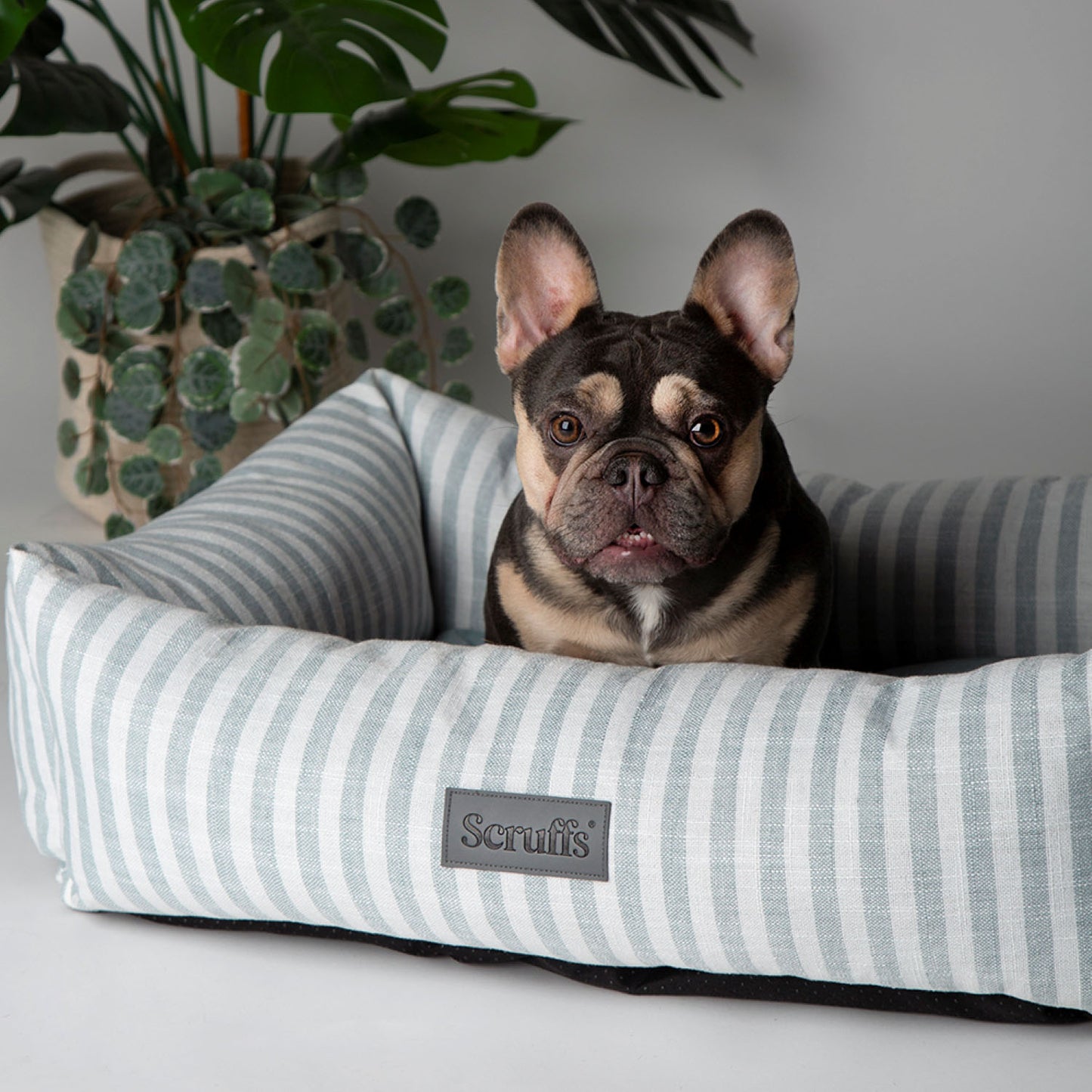 Scruffs Coastal Green Stripe Pet Dog Bed