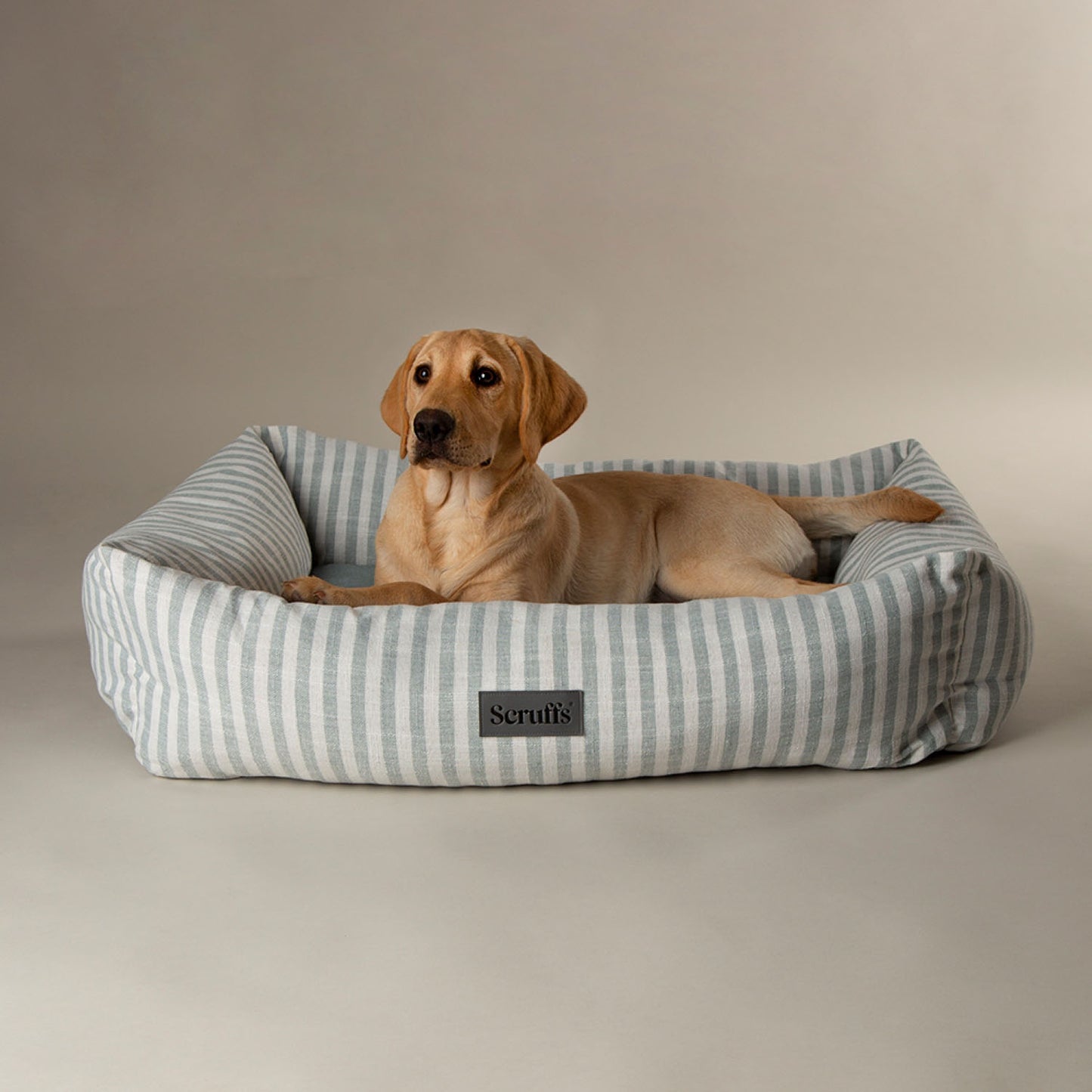 Scruffs Coastal Green Stripe Pet Dog Bed