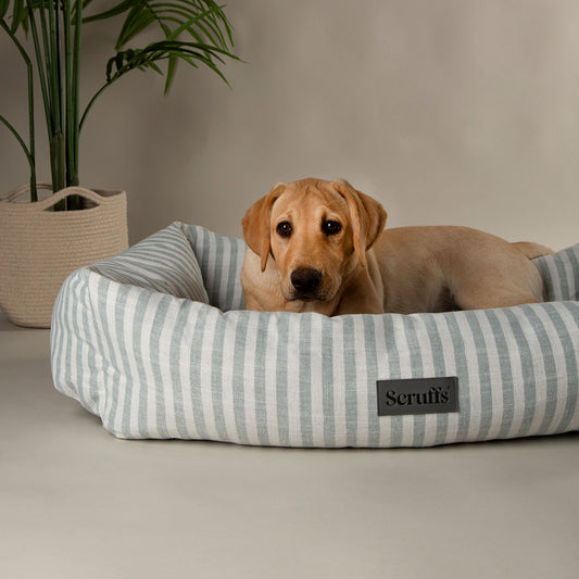 Scruffs Coastal Green Stripe Pet Dog Bed
