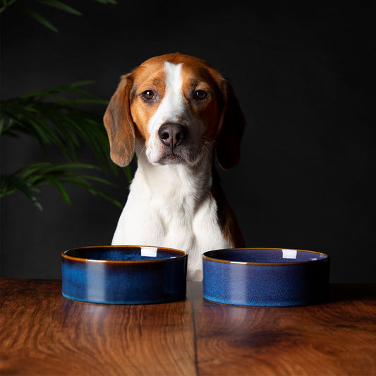 Scruffs Ceramic Heavy Duty Midnight Blue Reactive Glaze Dog Bowls (2pc Set)