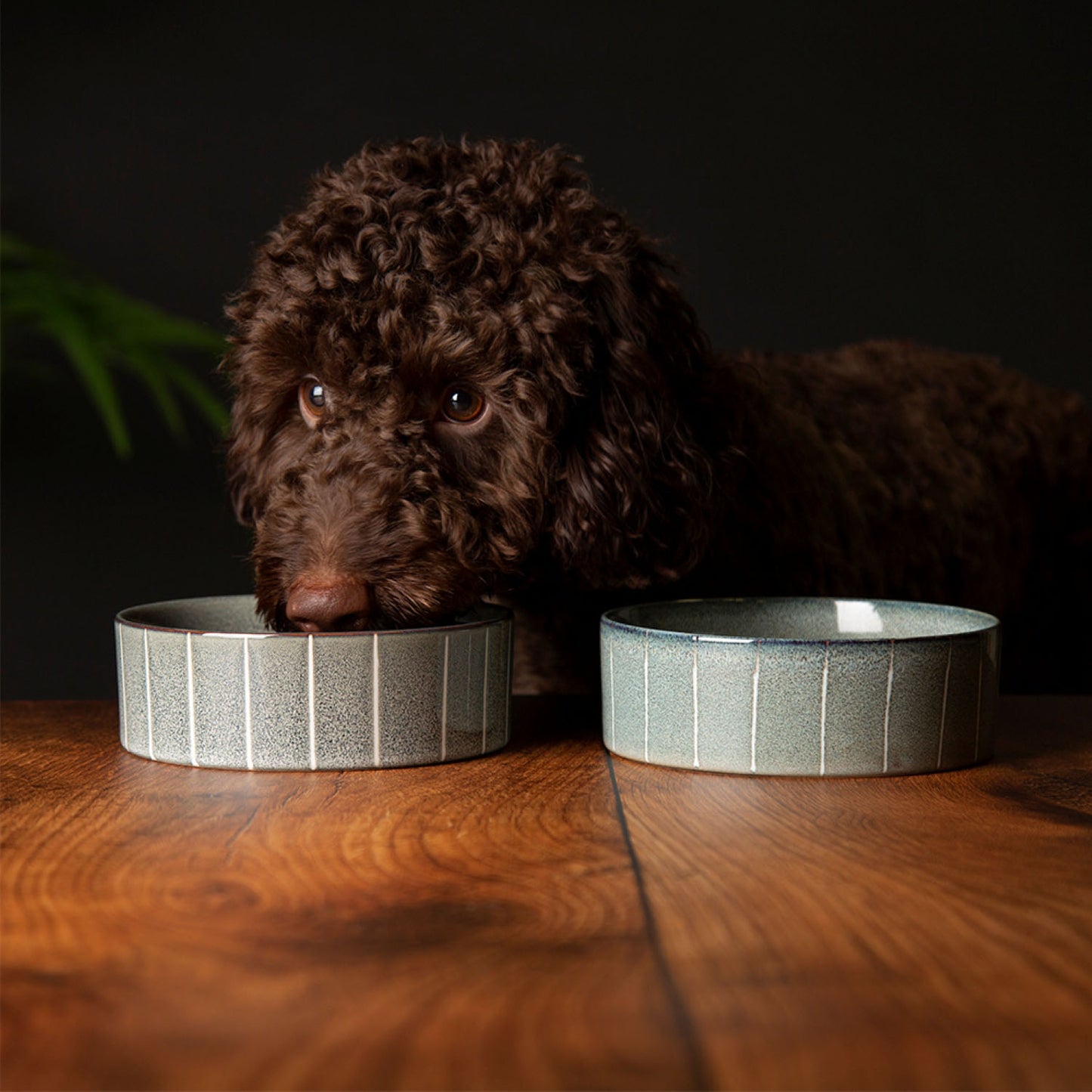 Scruffs Ceramic Heavy Duty Grey Pinstripe Reactive Glaze Dog Bowls (2pc Set)